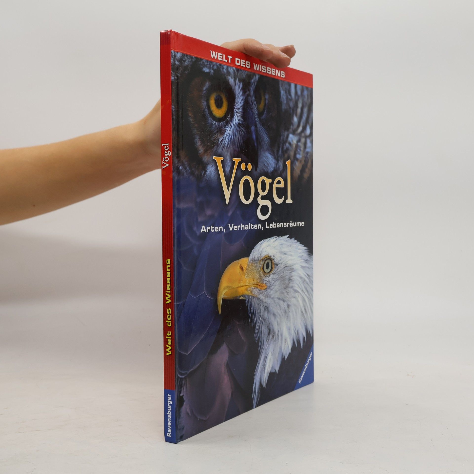 Vögel