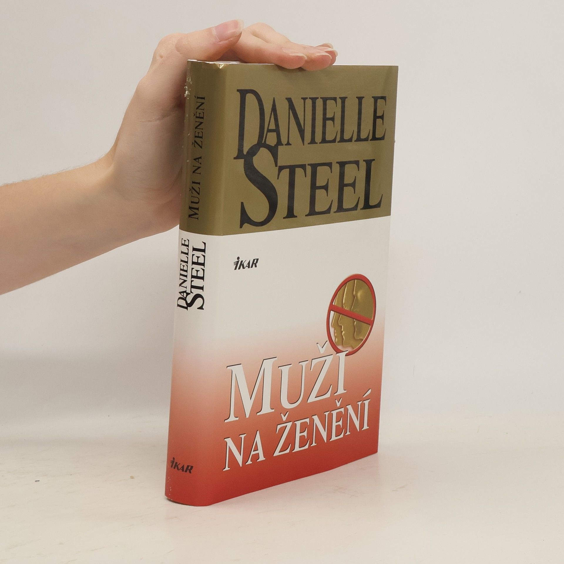 Danielle Steel Muži na ženění