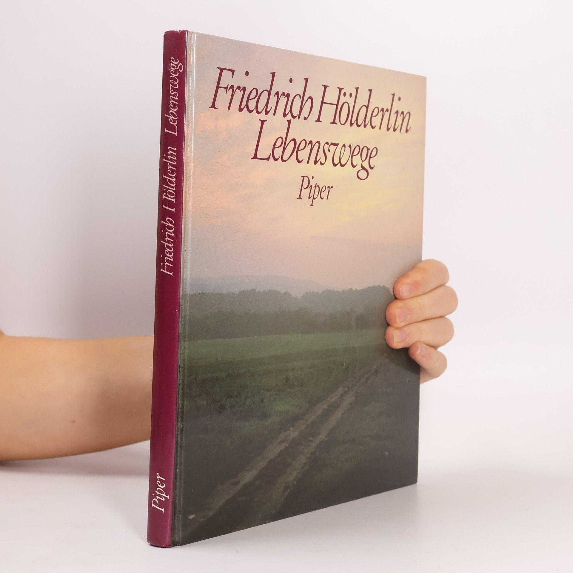 Friedrich Hölderlin Lebenswege