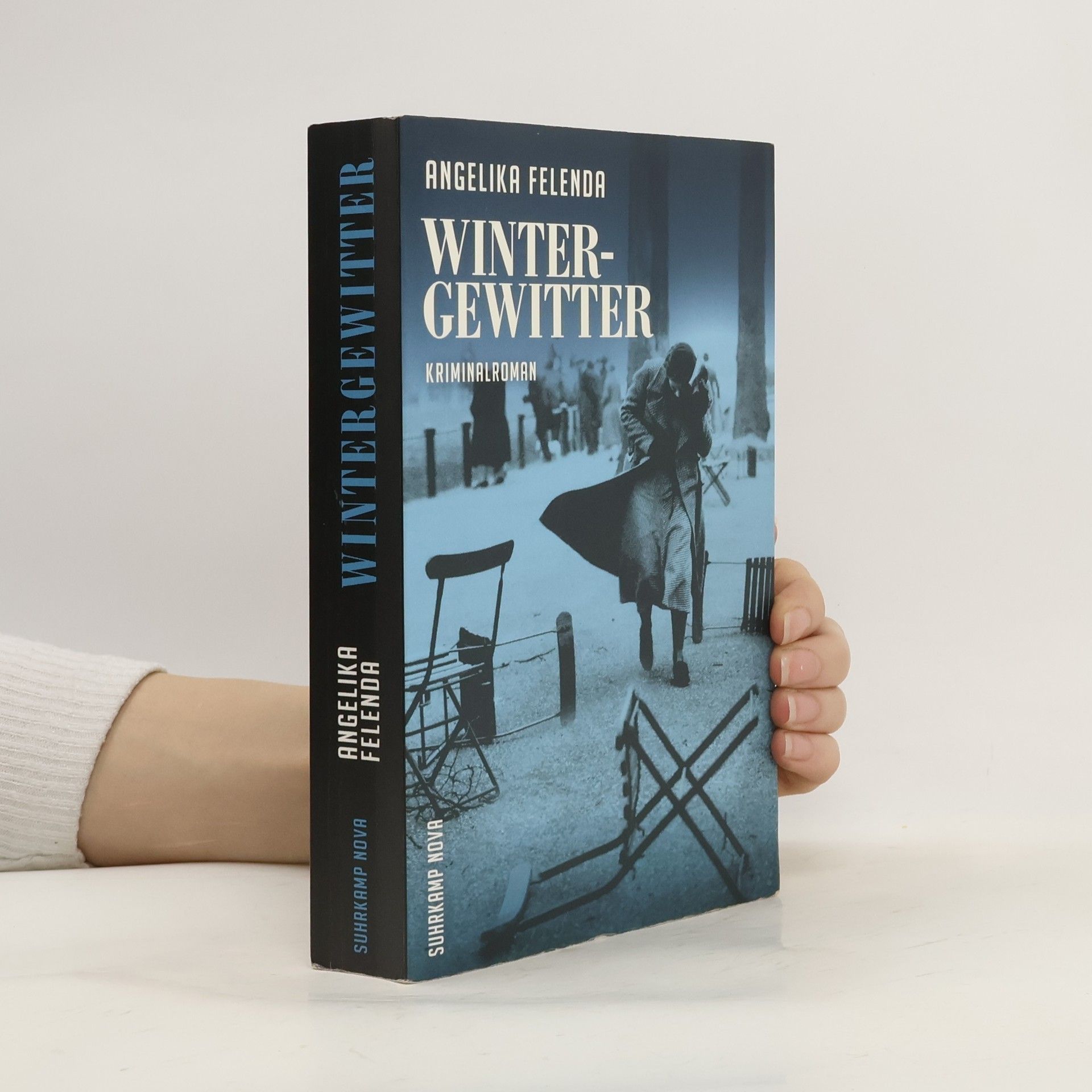 Angelika Felenda Wintergewitter