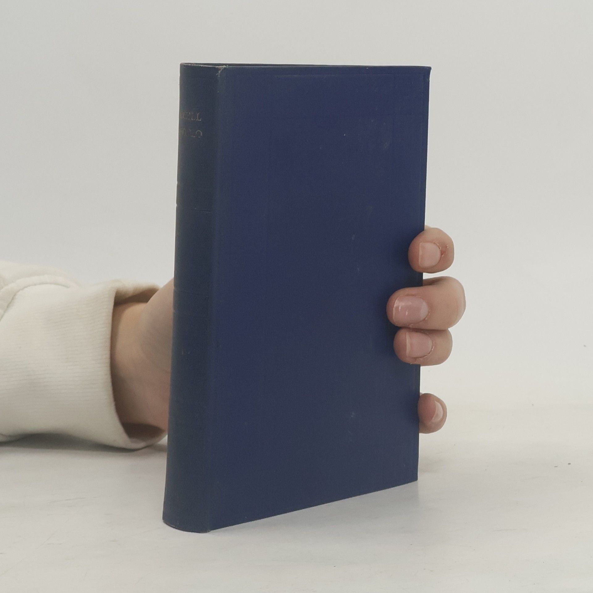 Michelangelo Lebensberichte Gedichte Briefe