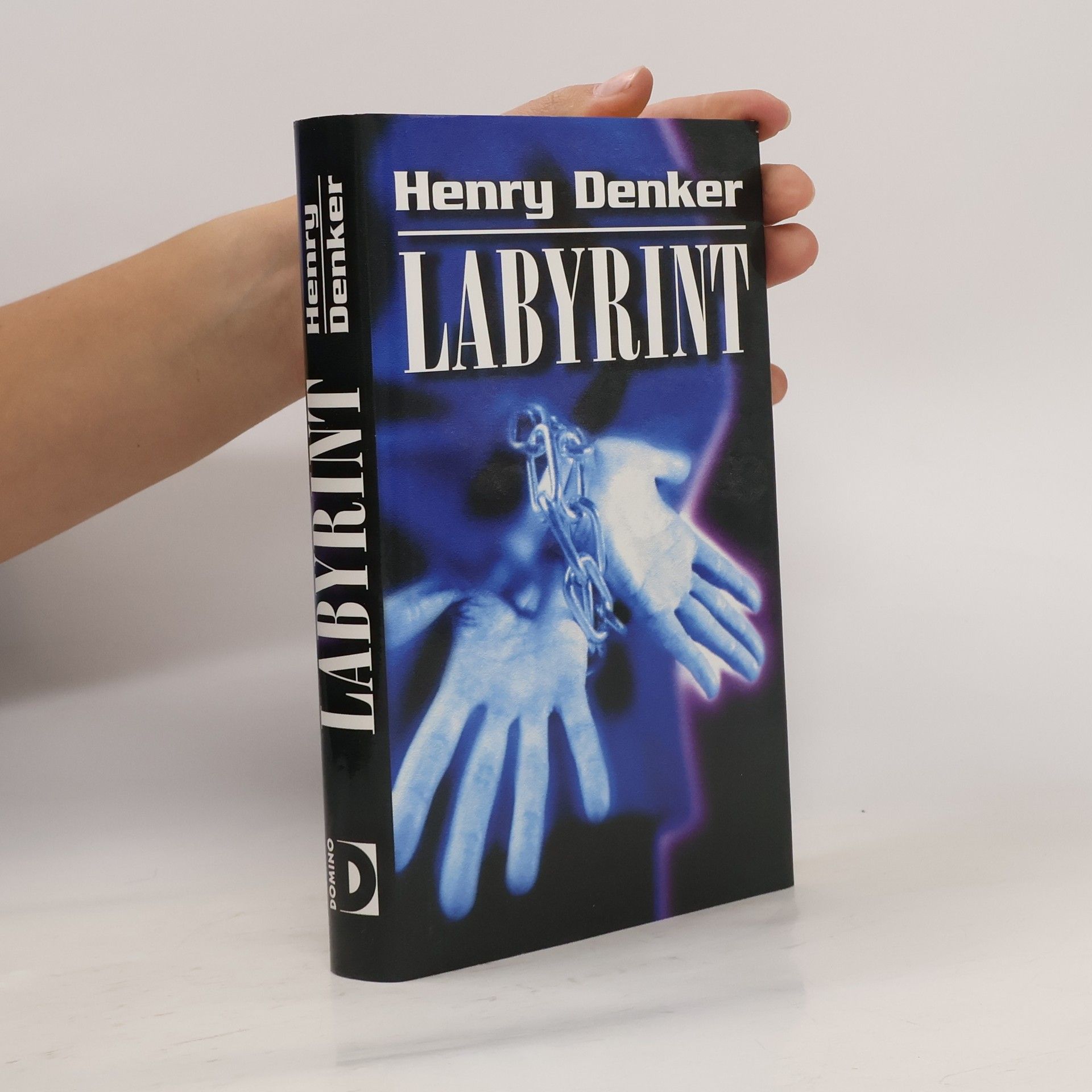 Henry Denker Labyrint