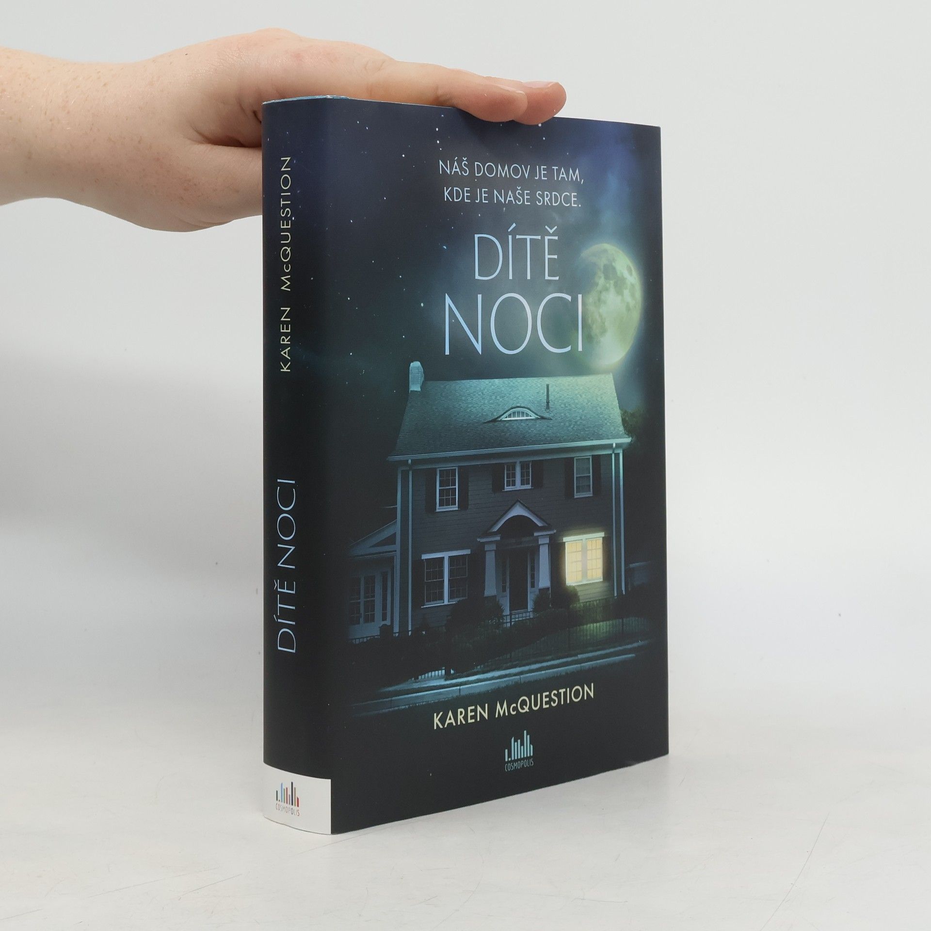 Karen McQuestion Dítě noci