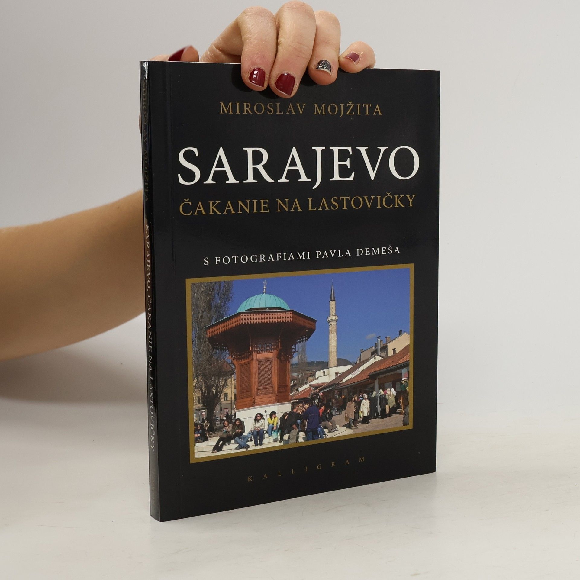 Pavol Demeš Sarajevo