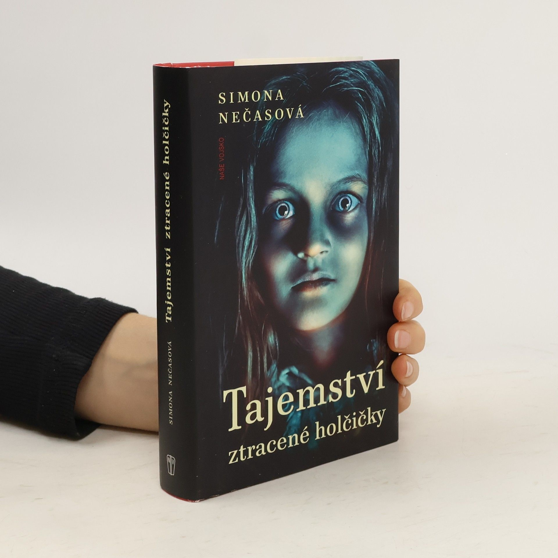 Tajemství ztracené holčičky