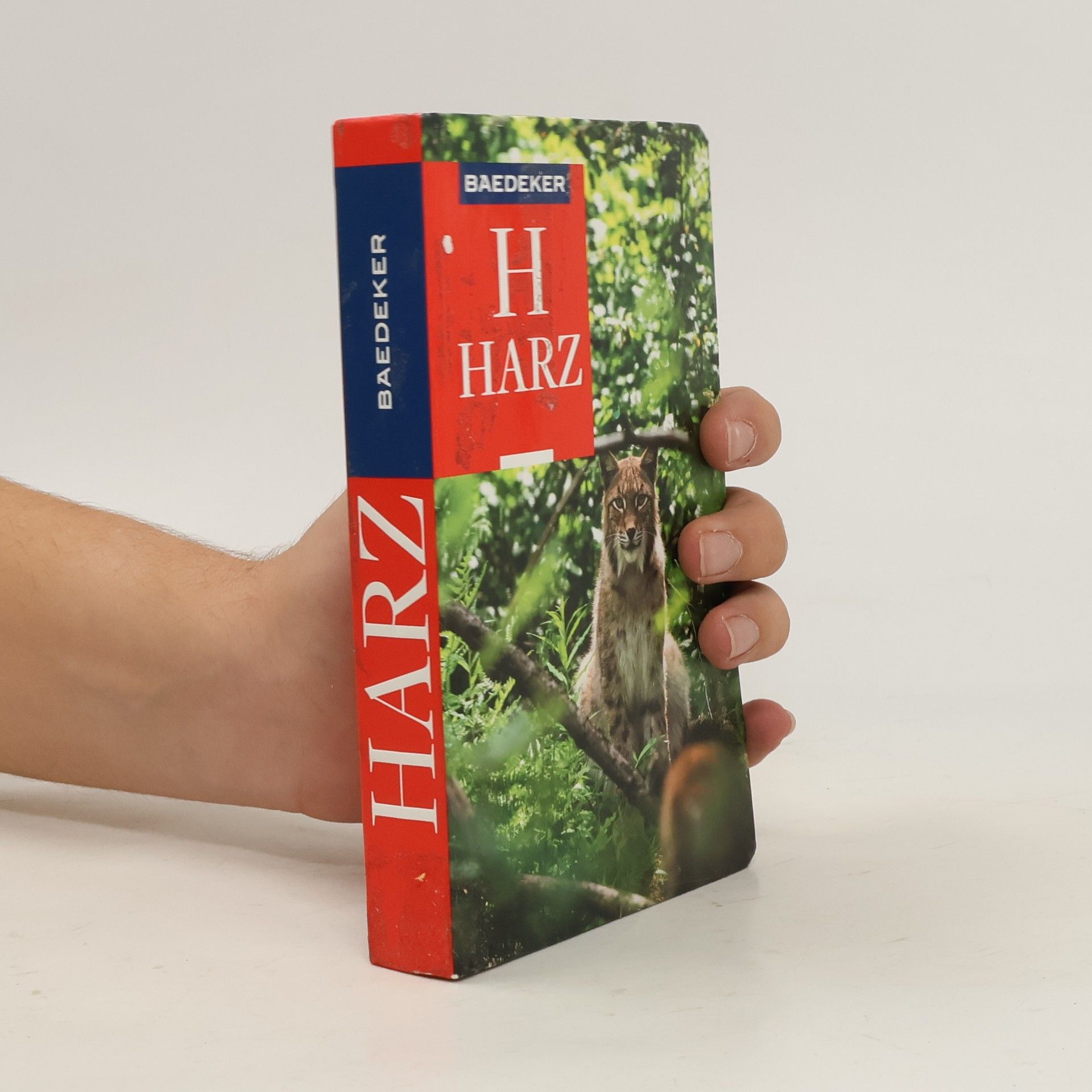 Collectif d'auteurs Baedeker H Harz