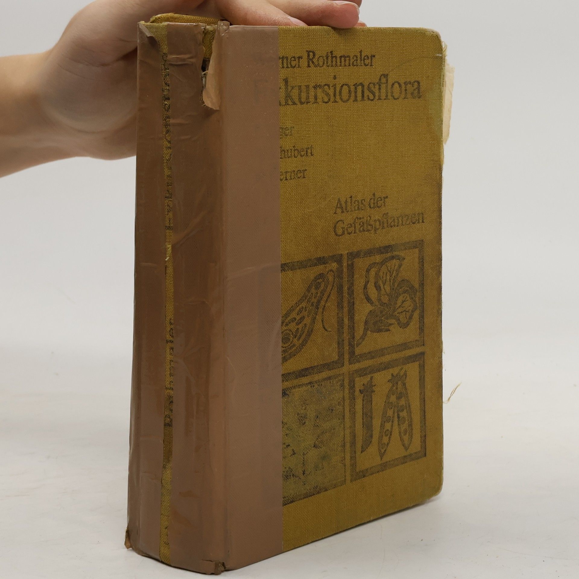 Exkursionsflora von Deutschland. Band 3