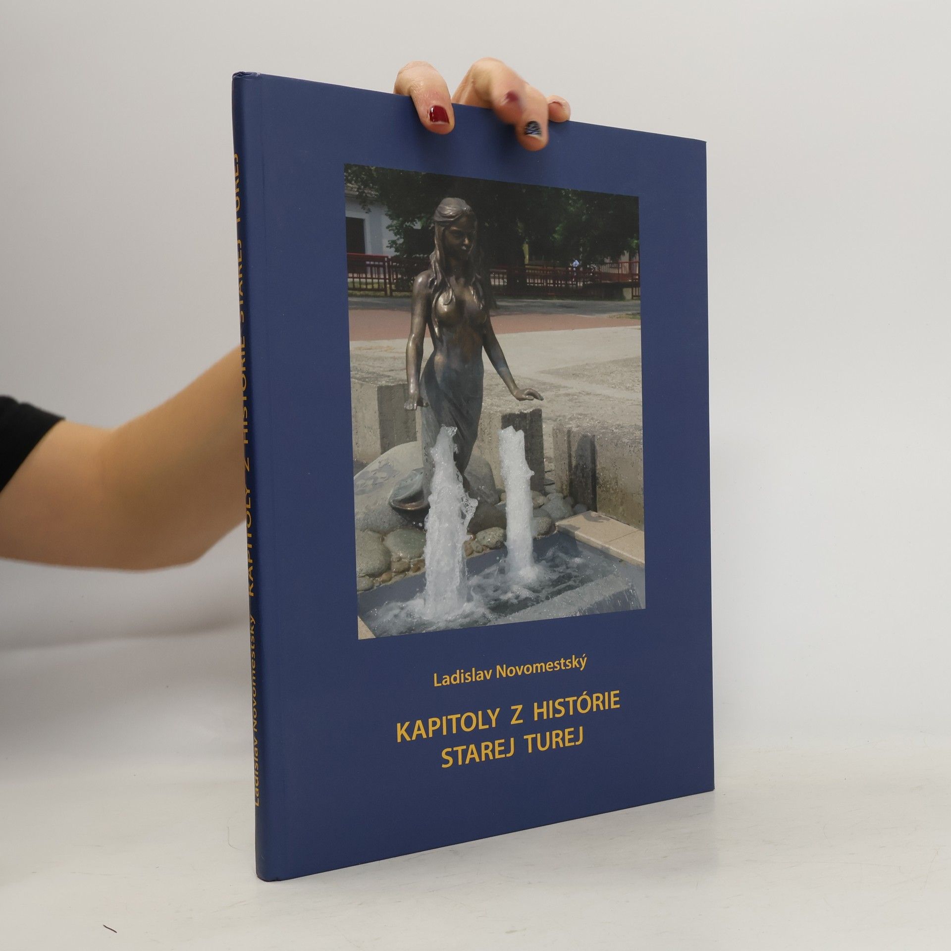 Kapitoly z histórie Starej Turej