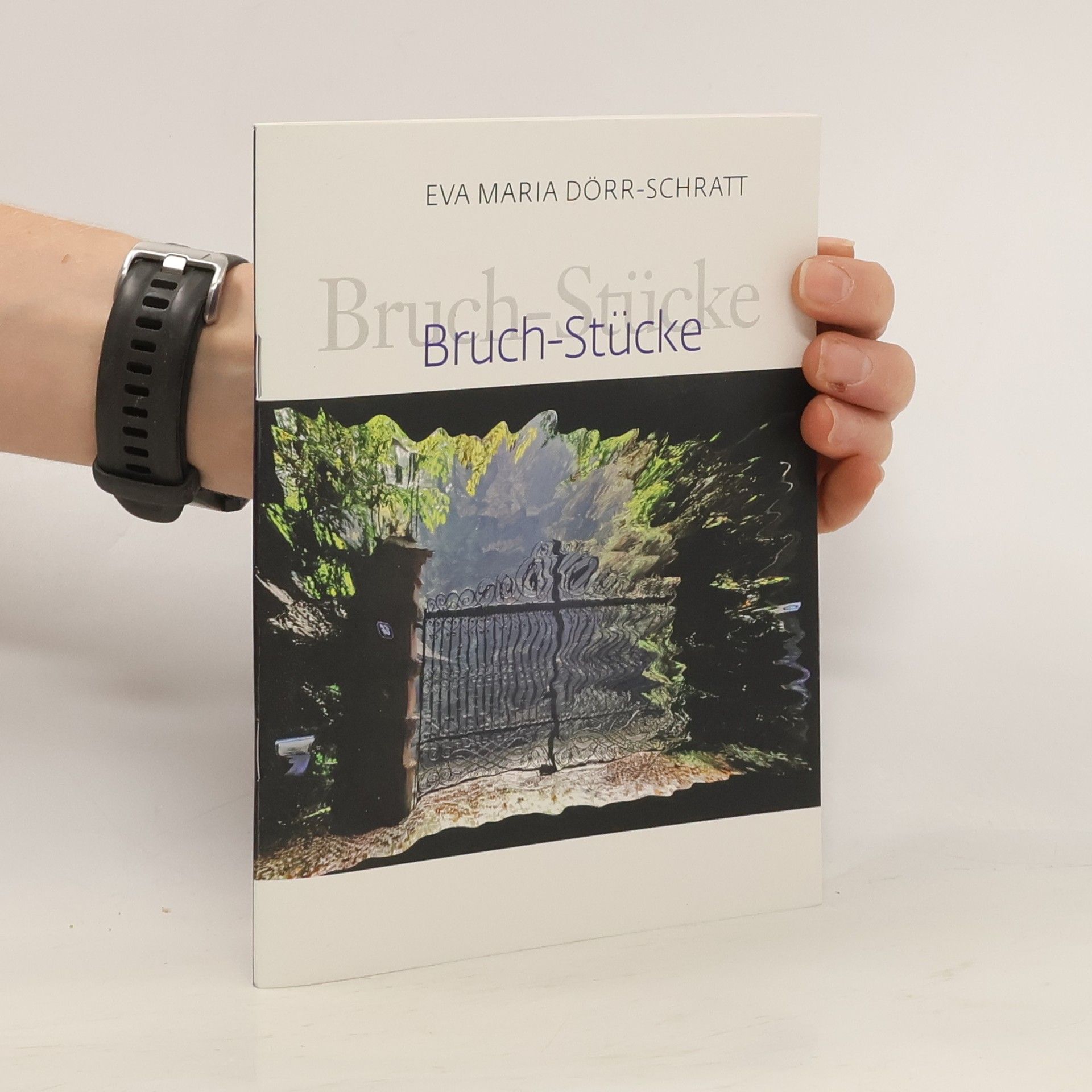 Eva Maria Dörr-Schratt Bruch-Stücke