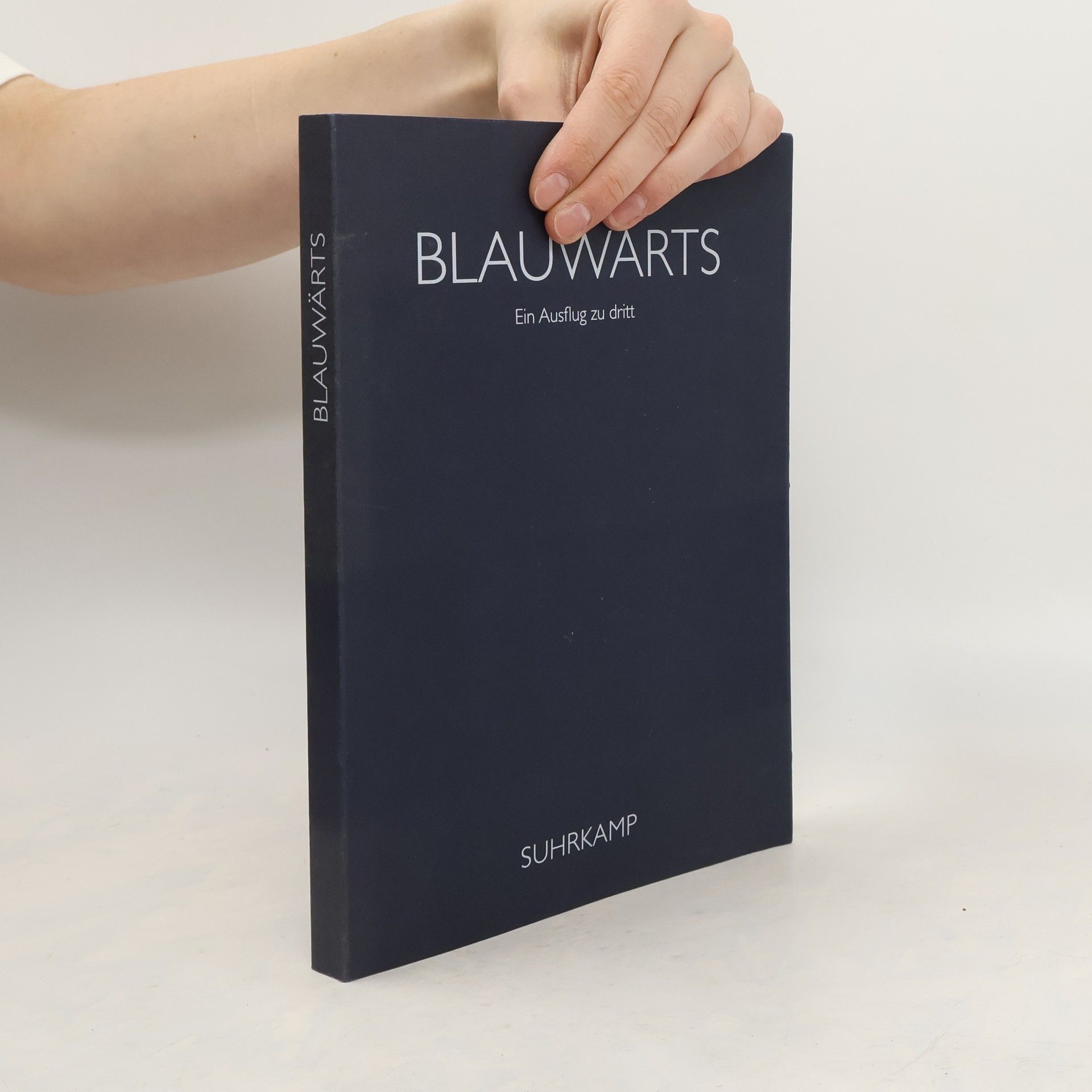 Hans Magnus Enzensberger Blauwärts