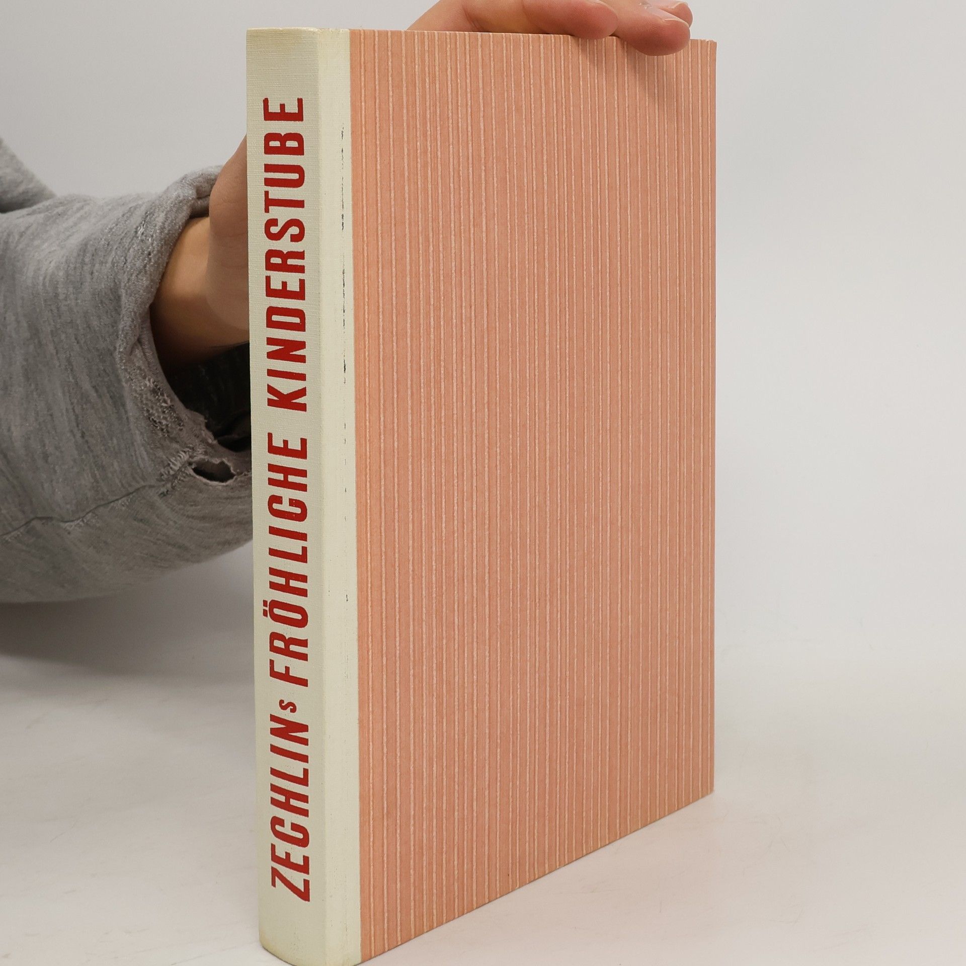 Ruth Zechlin Zechlins Fröhliche Kinderstube