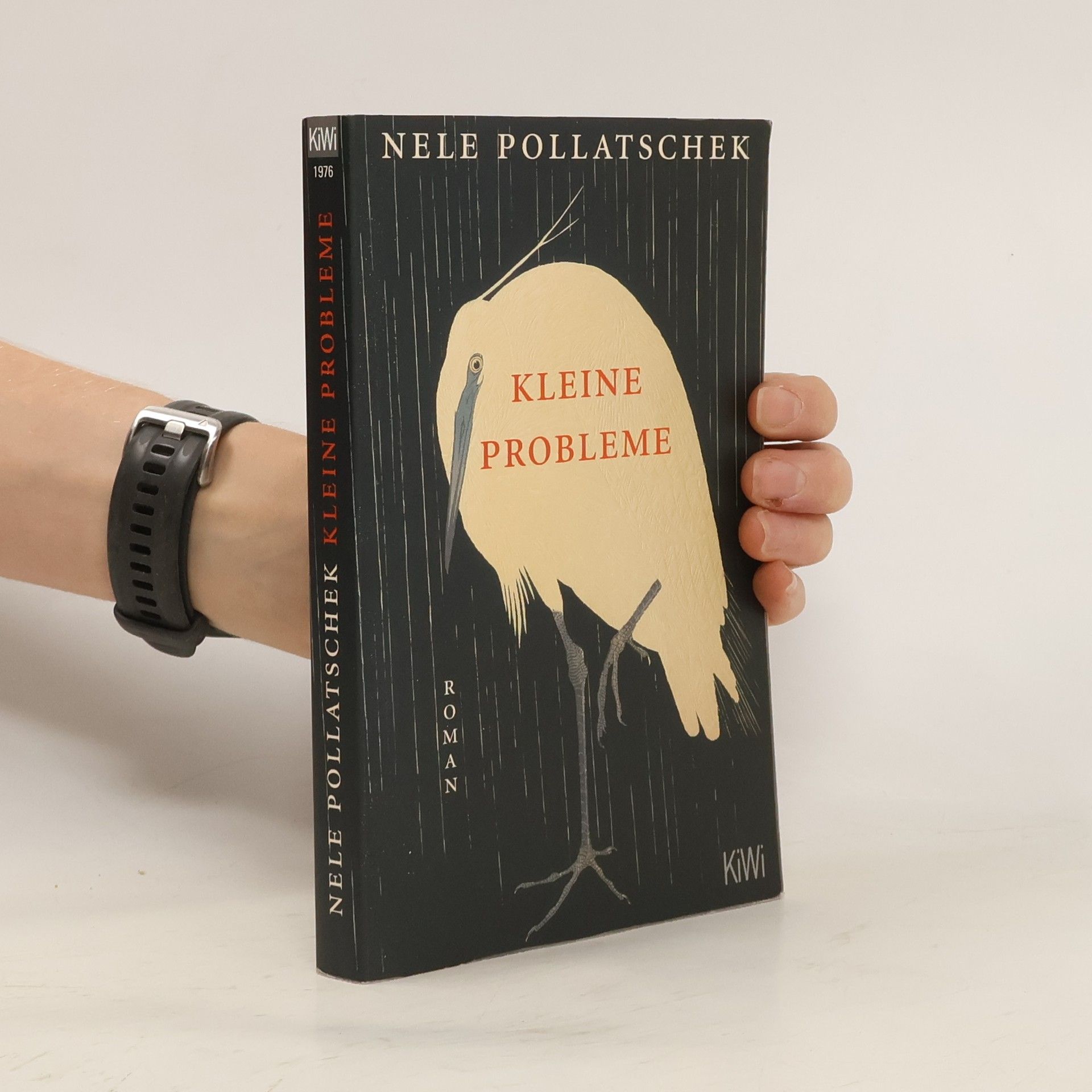 Nele Pollatschek Kleine Probleme