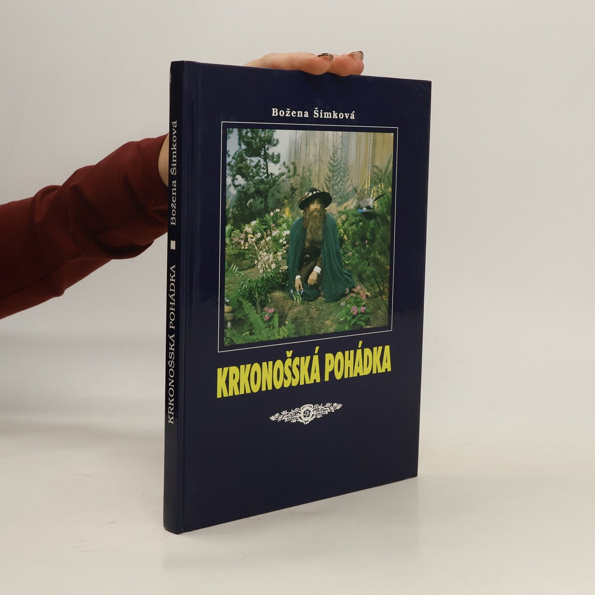 Krkonošská pohádka