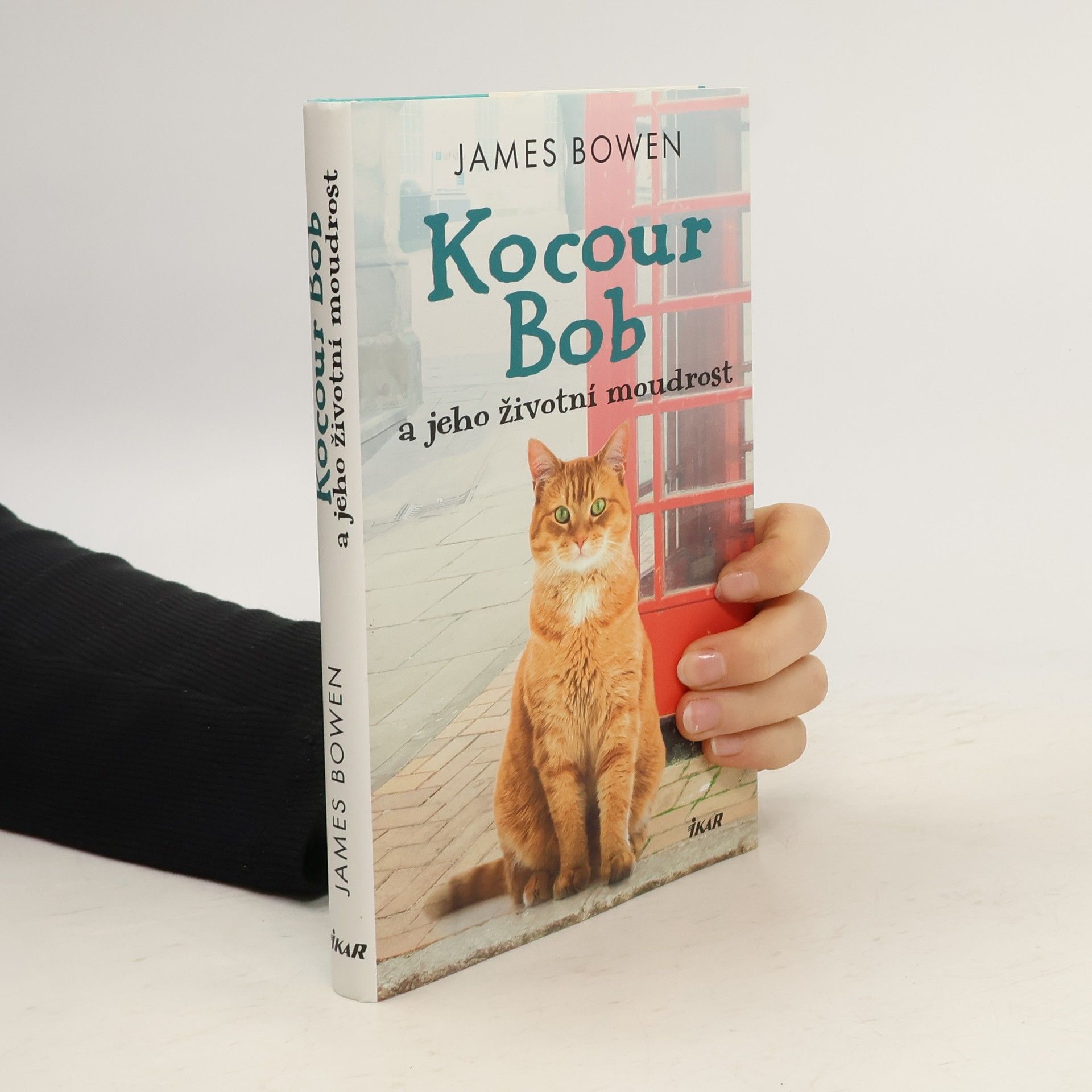 James Bowen Kocour Bob a jeho životní moudrost