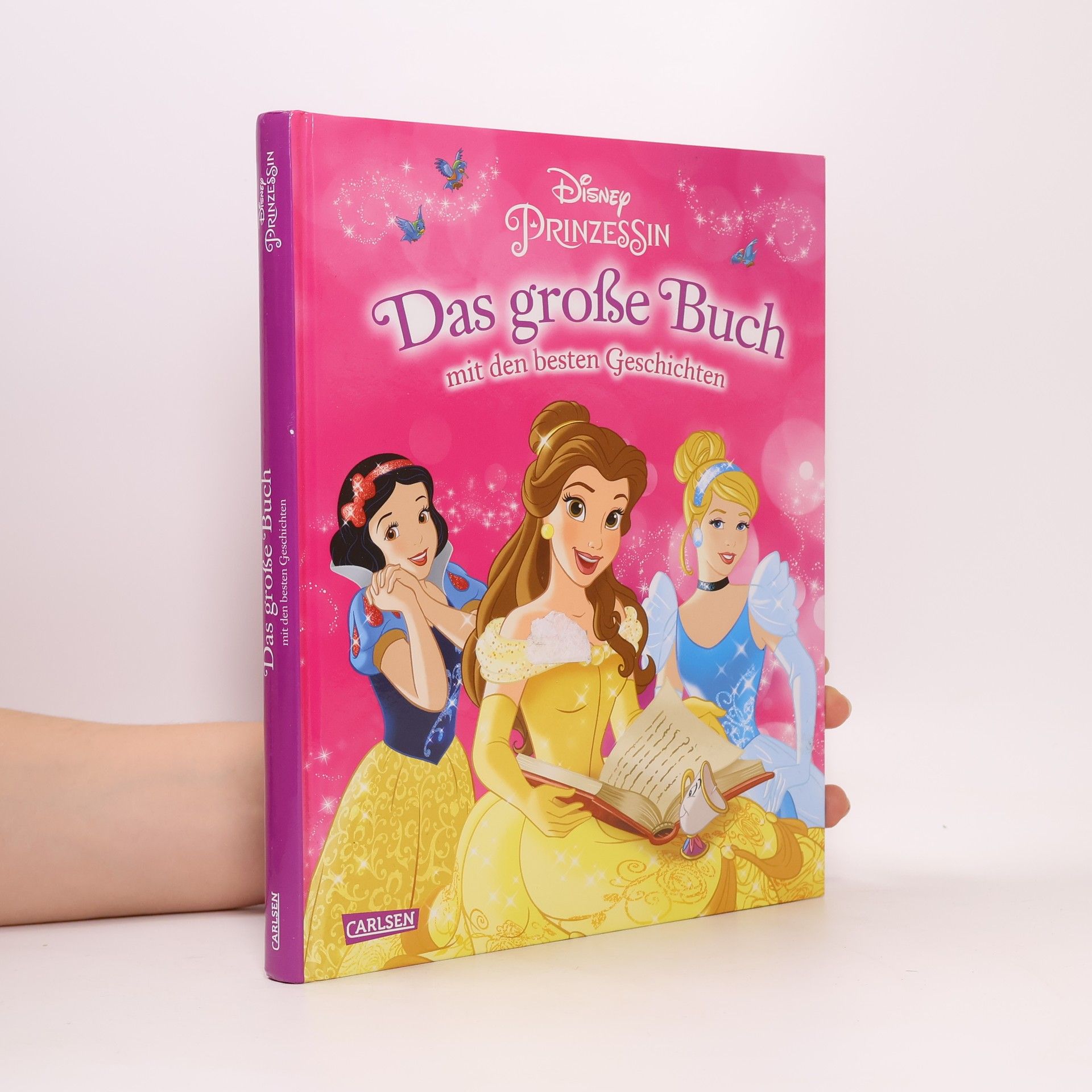 Collectif d'auteurs Disney Prinzessin - das große Buch mit den besten Geschichten