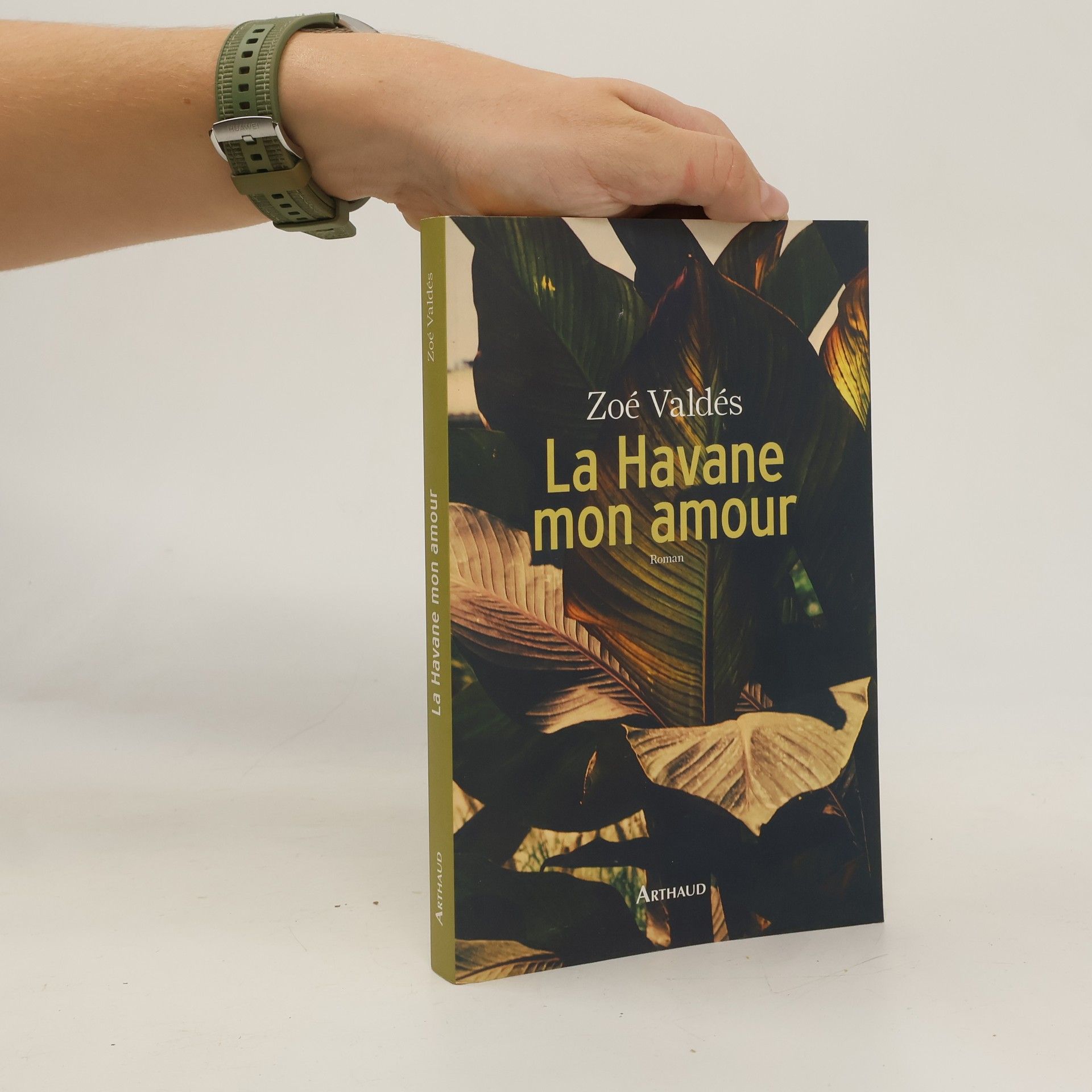 Zoé Valdés La Havane mon amour