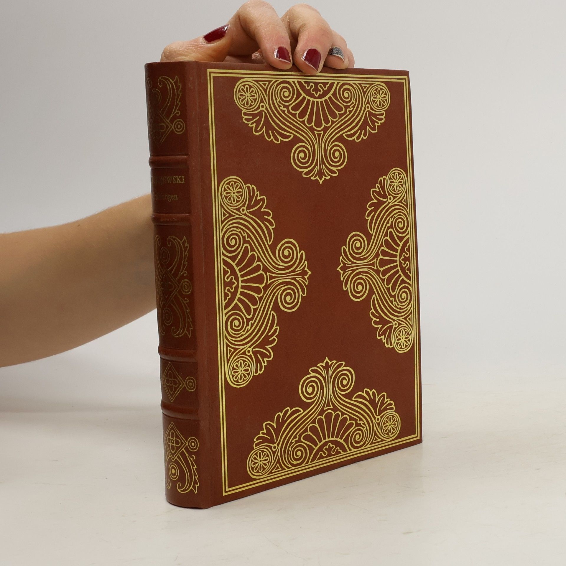 Fyodor Dostoyevsky Erzählungen