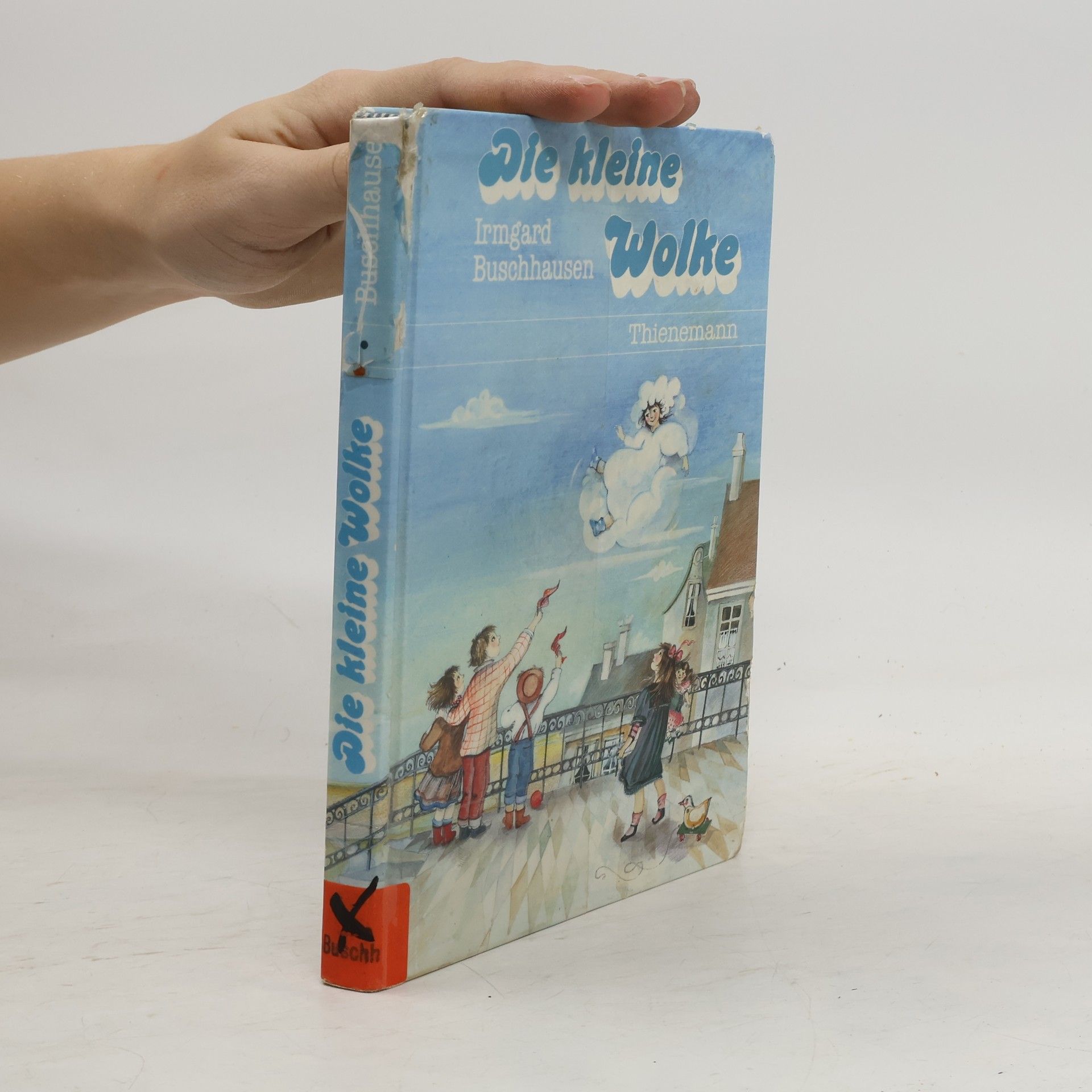 Irmgard Buschhausen Die kleine Wolke