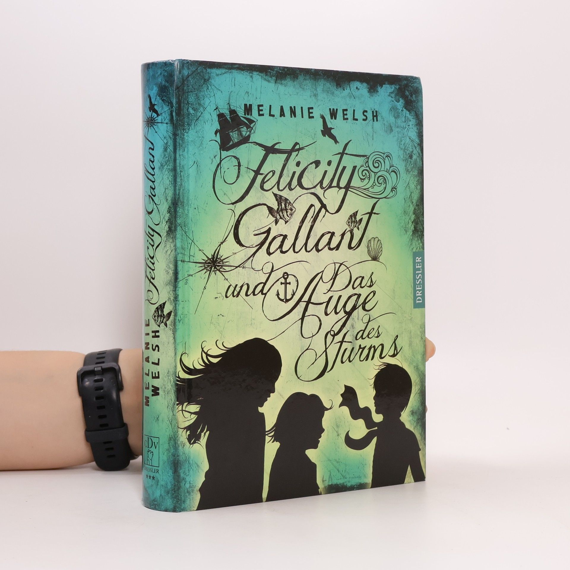Melanie Welsh Felicity Gallant und das Auge des Sturms