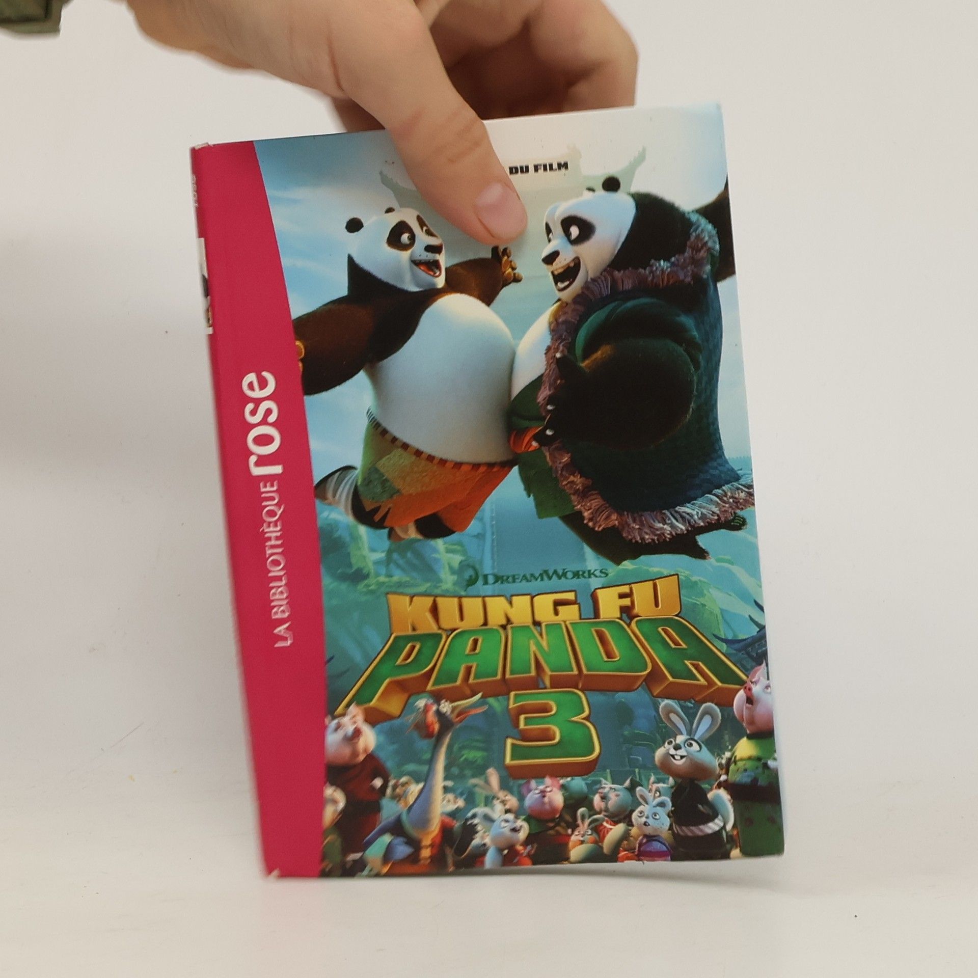 Natacha Godeau Kung Fu Panda 3