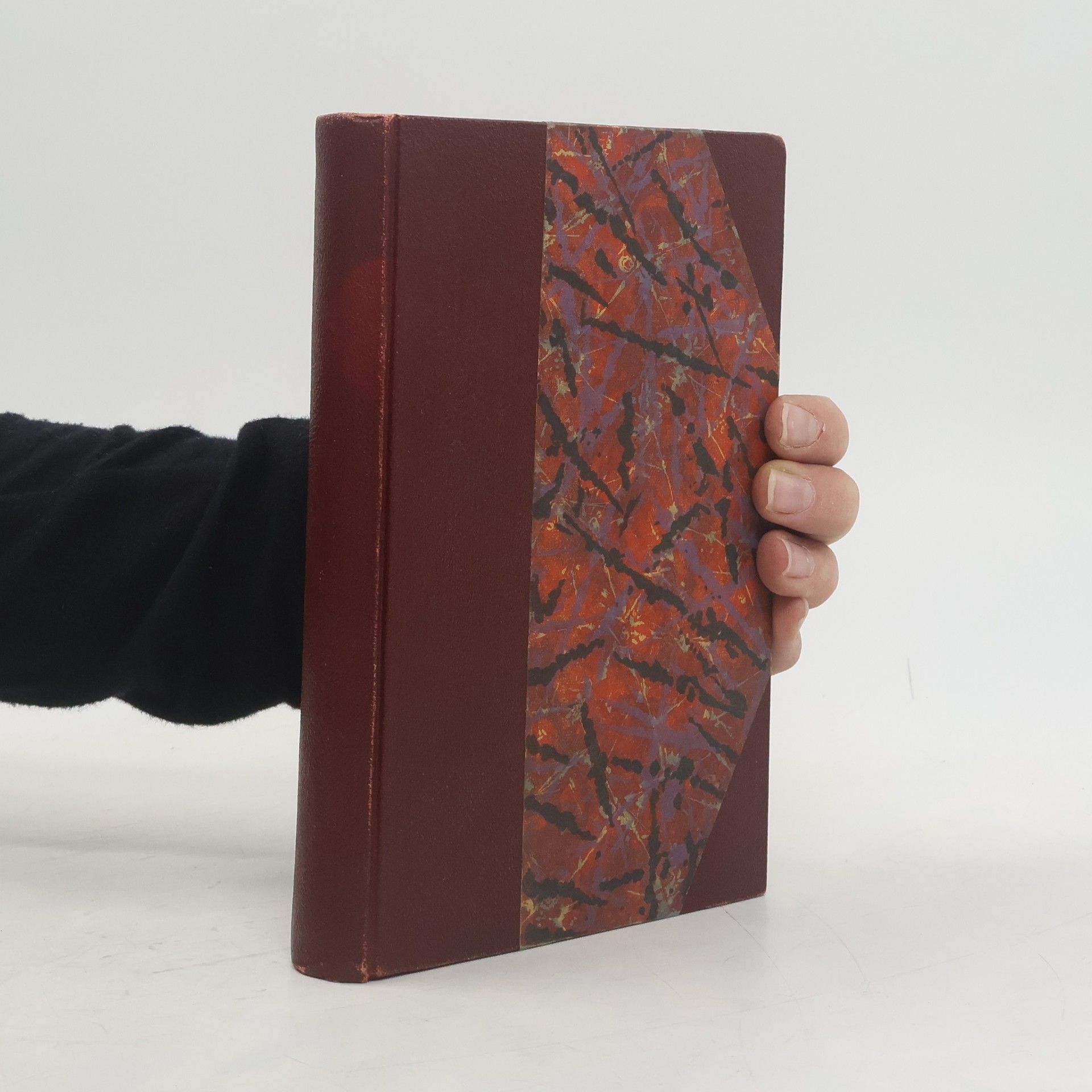 Josef Svátek Poslední budovec