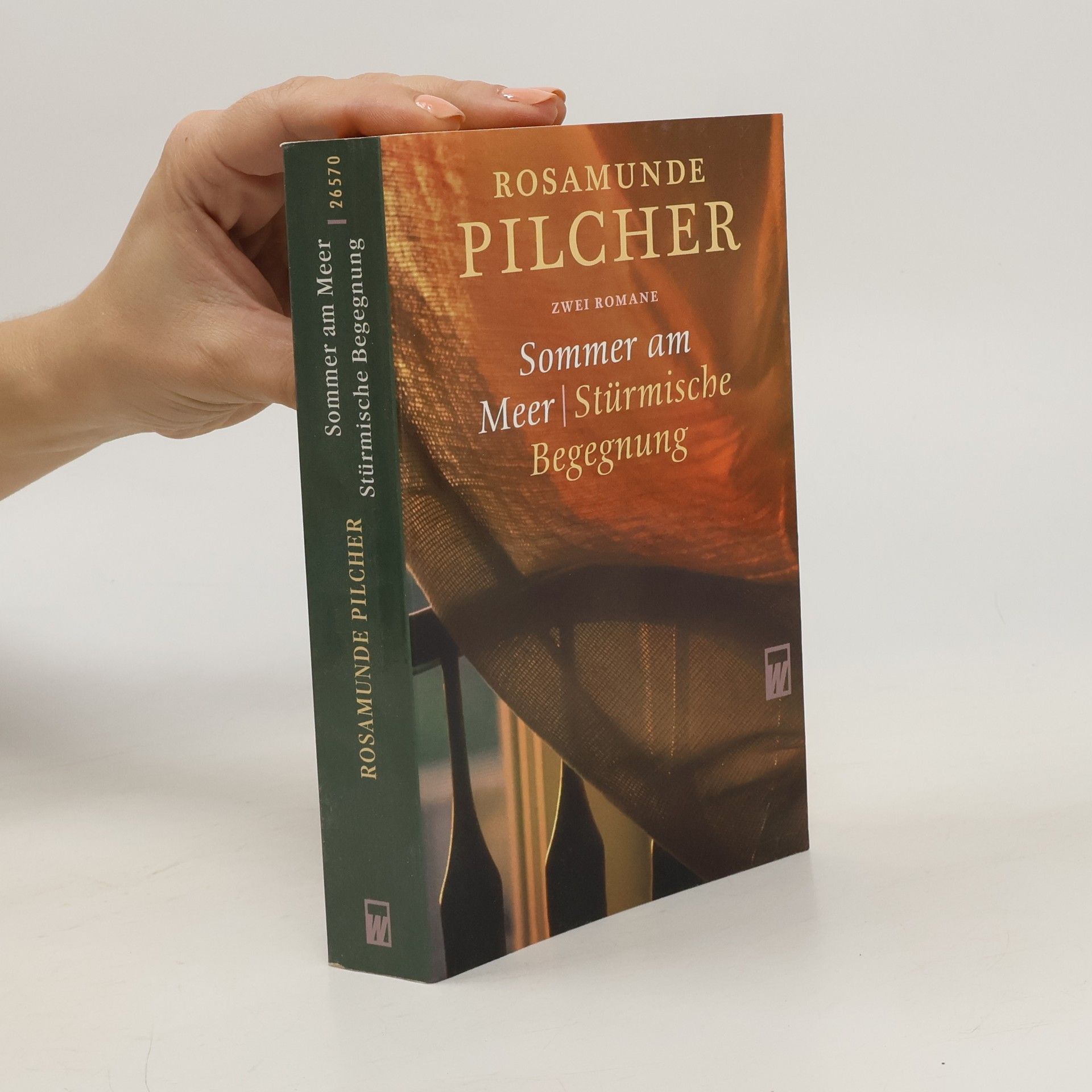 Rosamunde Pilcher Sommer am Meer/Stürmische Begegnung