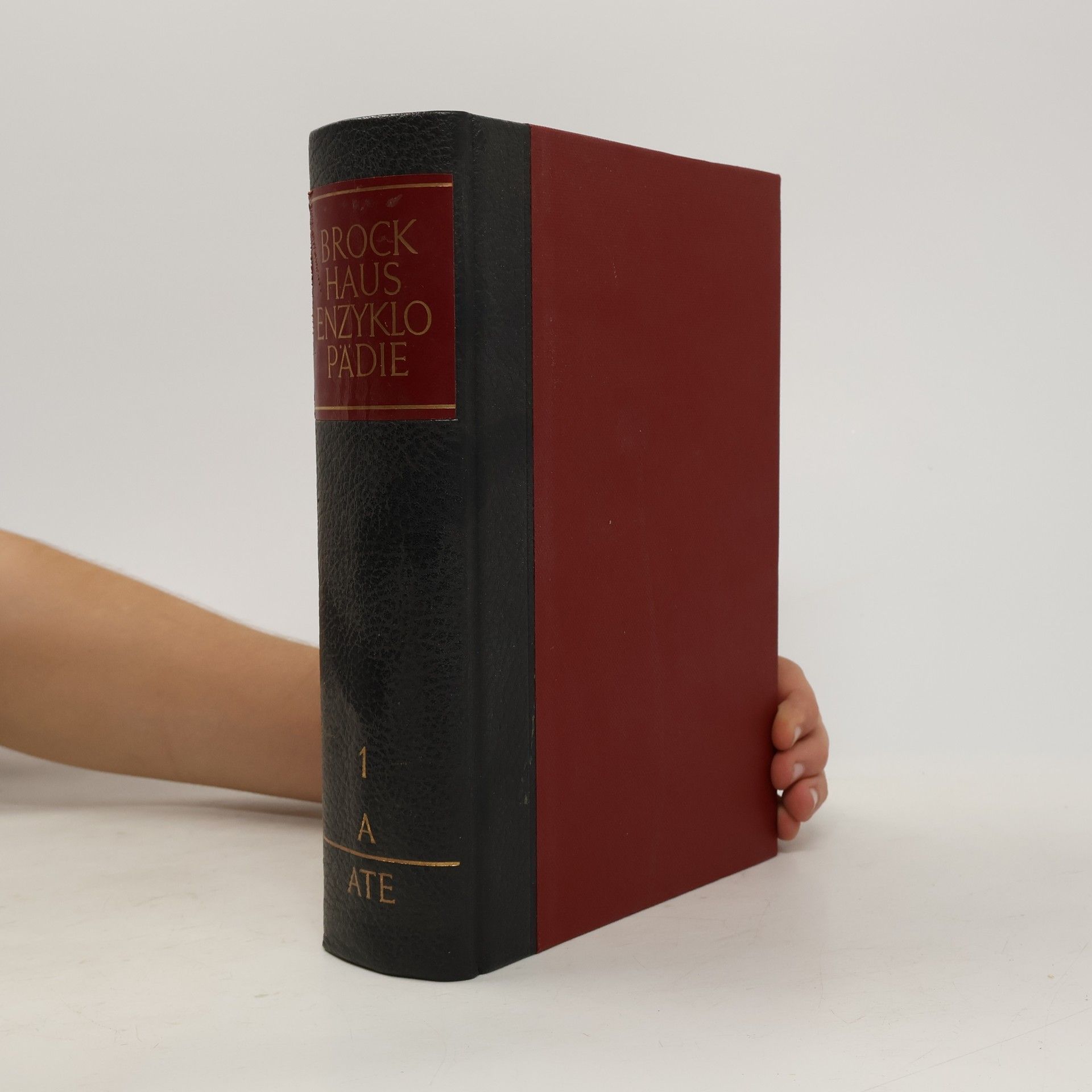 AA.VV. Brockhaus Enzyklopädie 1. A-ATE
