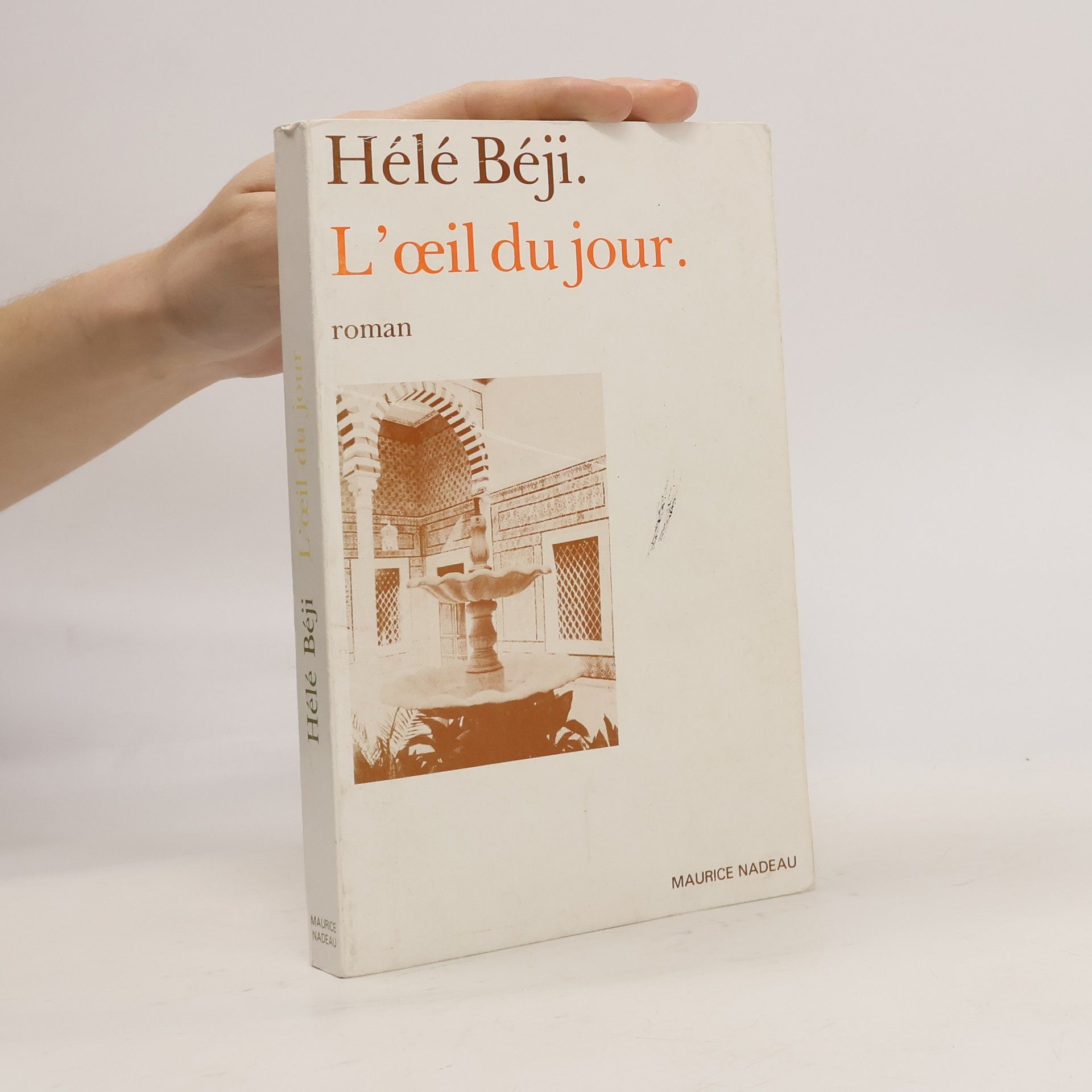 Hélé Béji L'œil du jour