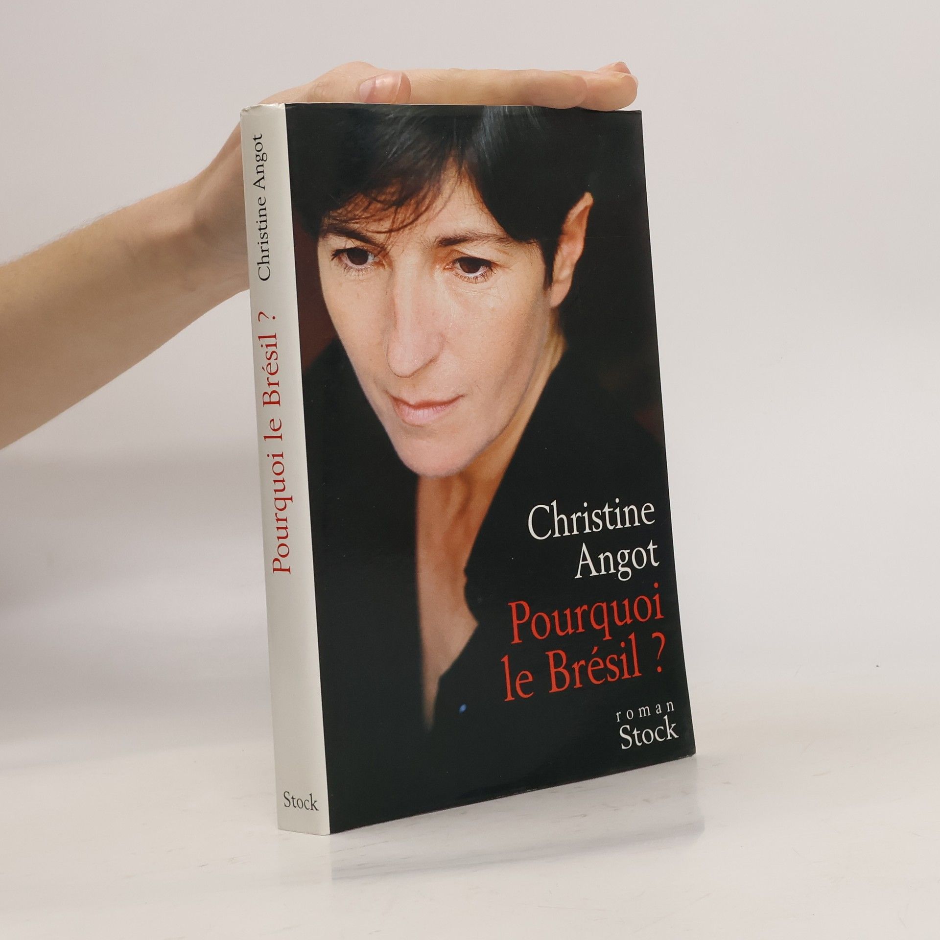 Christine Angot Pourquoi le Brésil