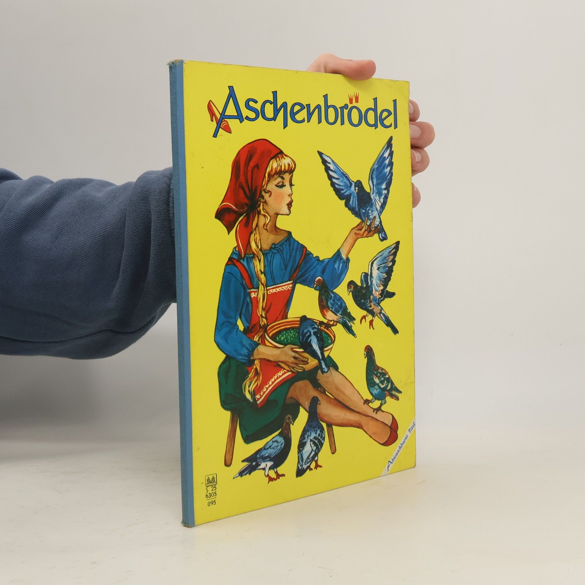 kolektiv Aschenbrödel