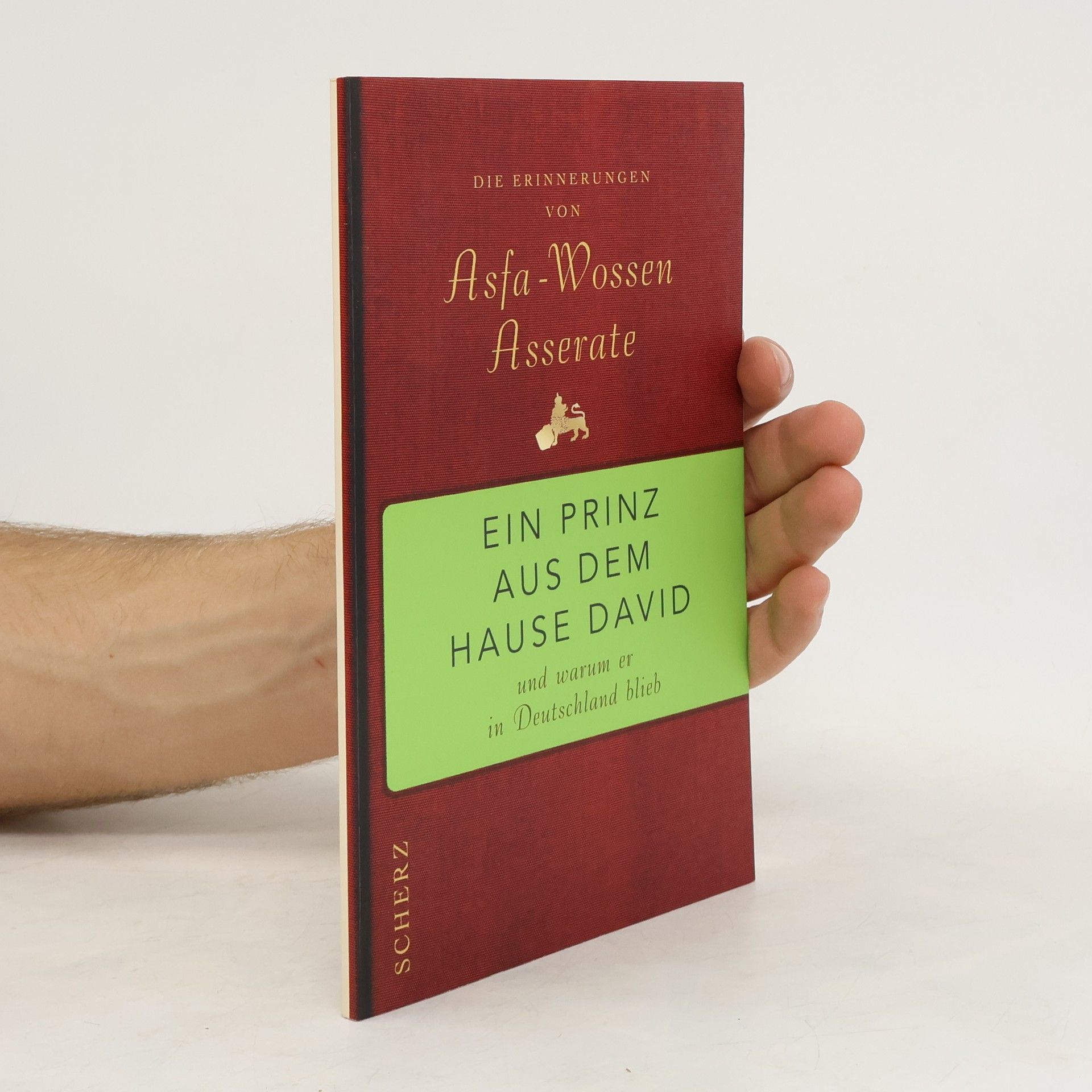 Collectif d'auteurs Ein Prinz aus dem Hause David und warum er in Deutschland blieb