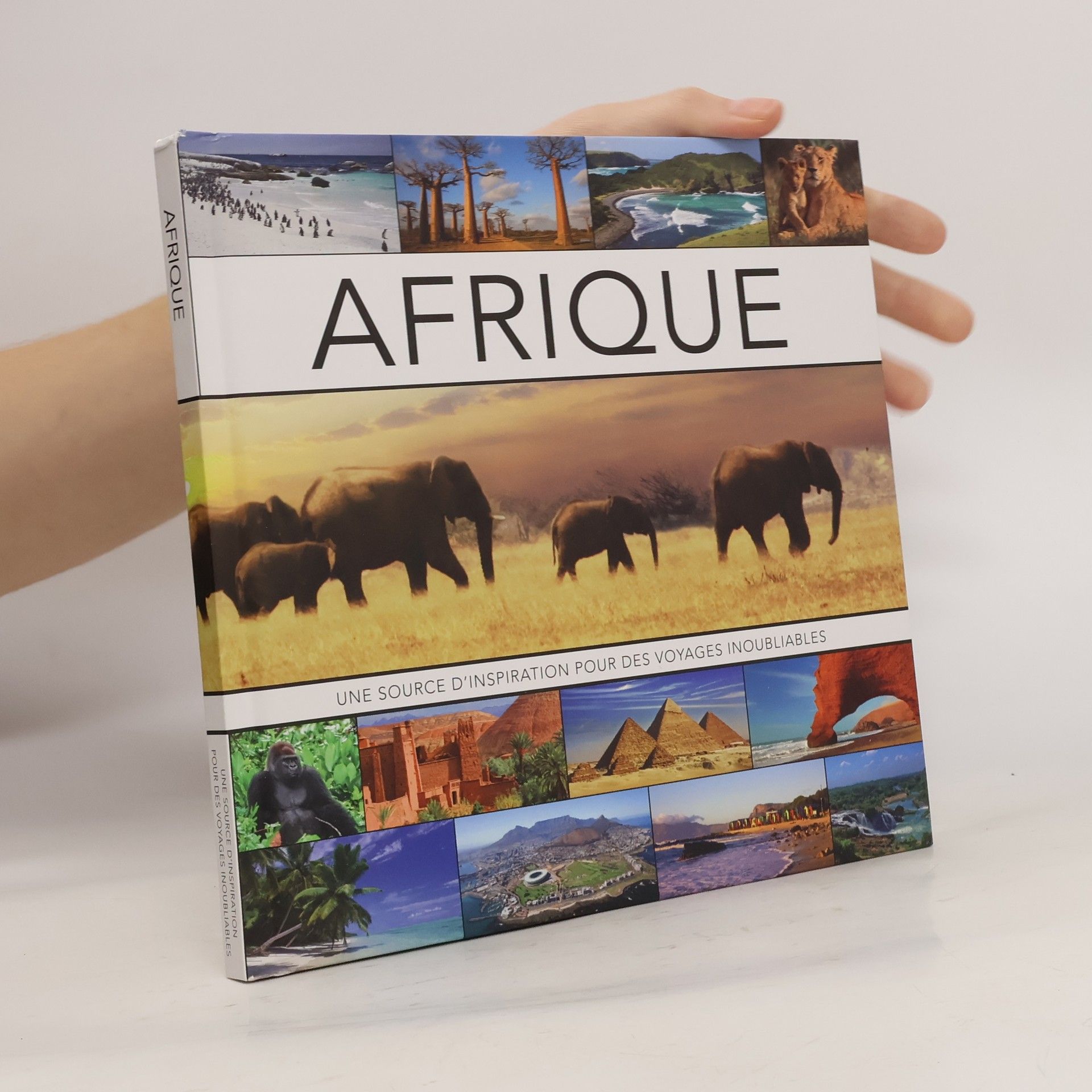 Collectif d'auteurs Afrique