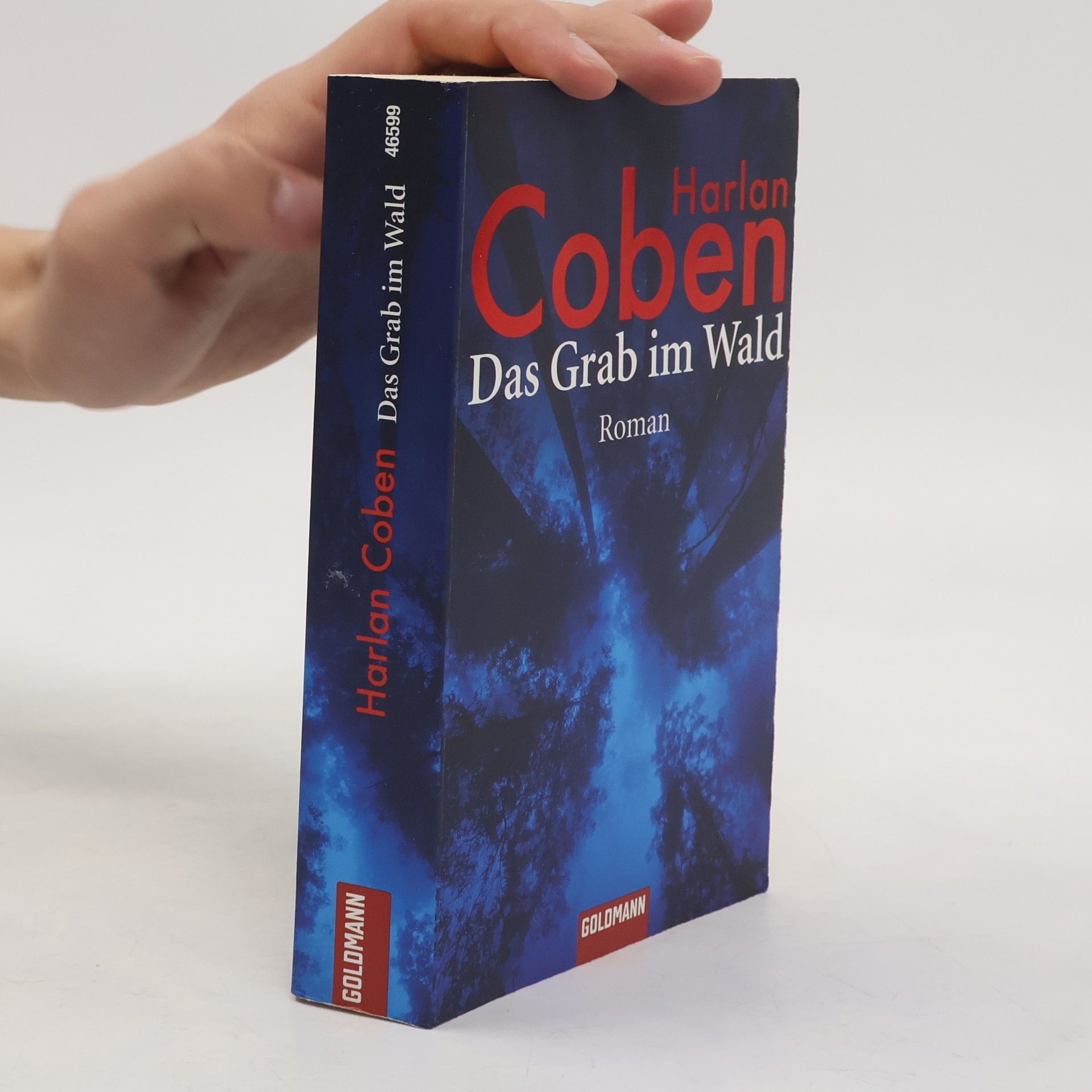 Harlan Coben Das Grab im Wald