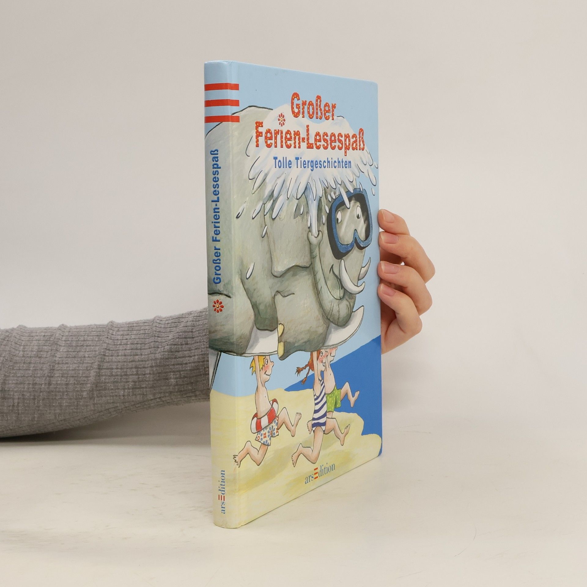 Autores varios Der große Ferien-Lesespaß