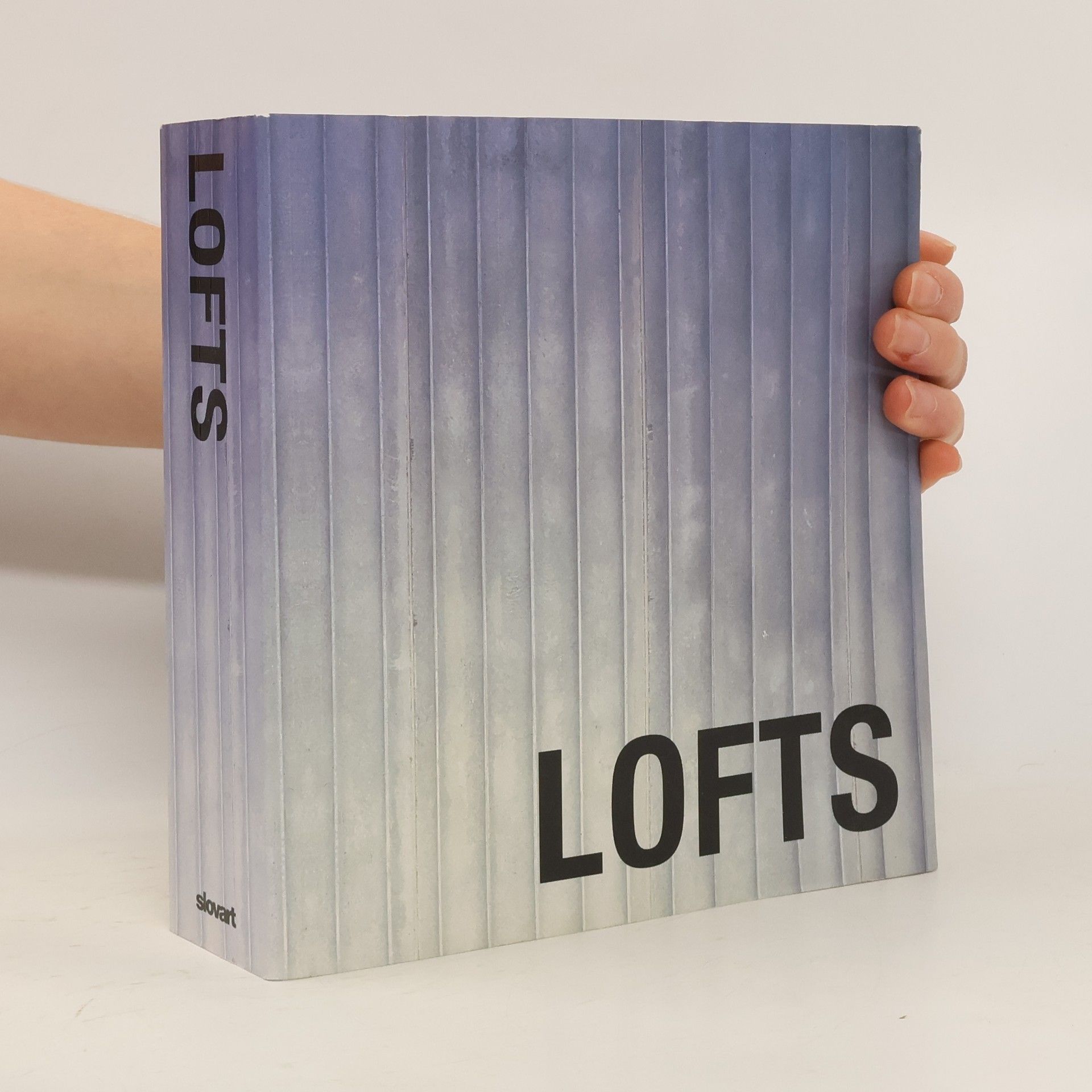 Mariana R. Eguaras Etchetto Lofts