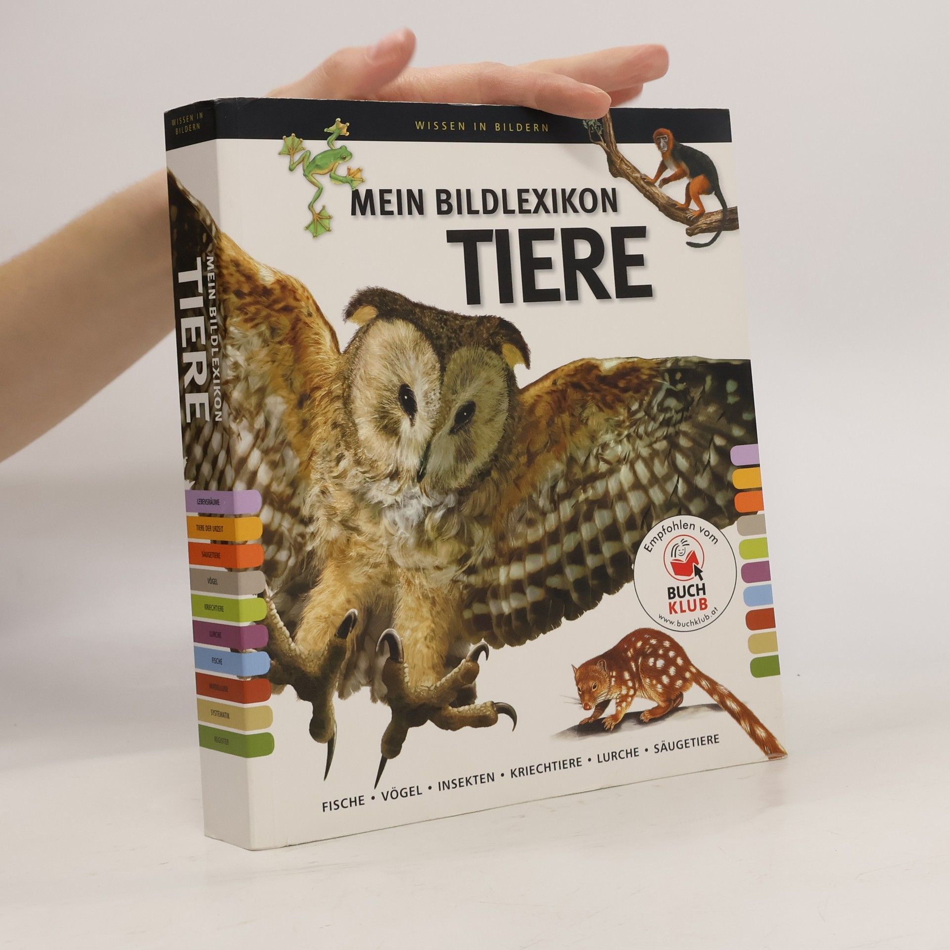 Kolektiv autorů Mein Bildlexikon Tiere