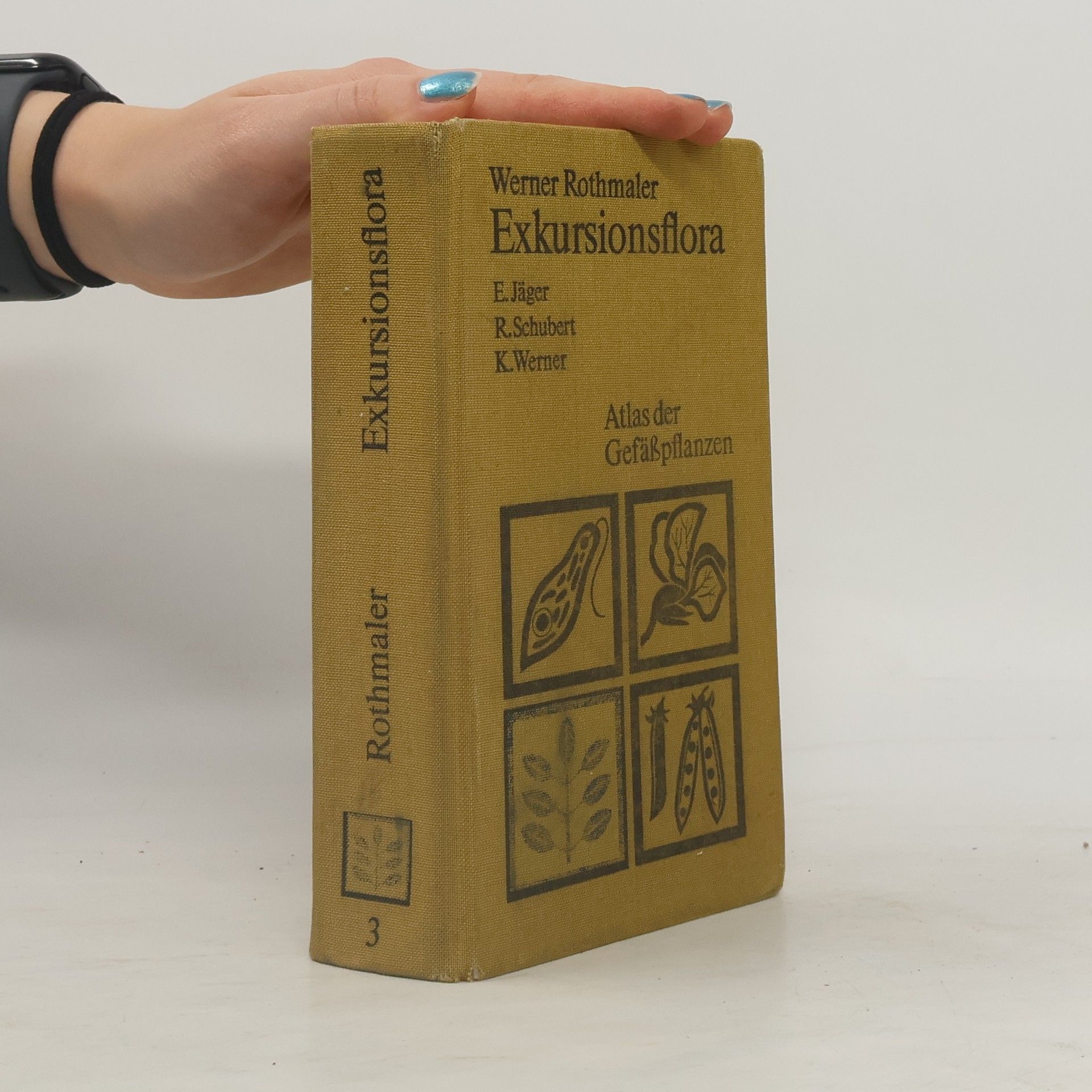 Werner Rothmaler Exkursionsflora von Deutschland. Band 3