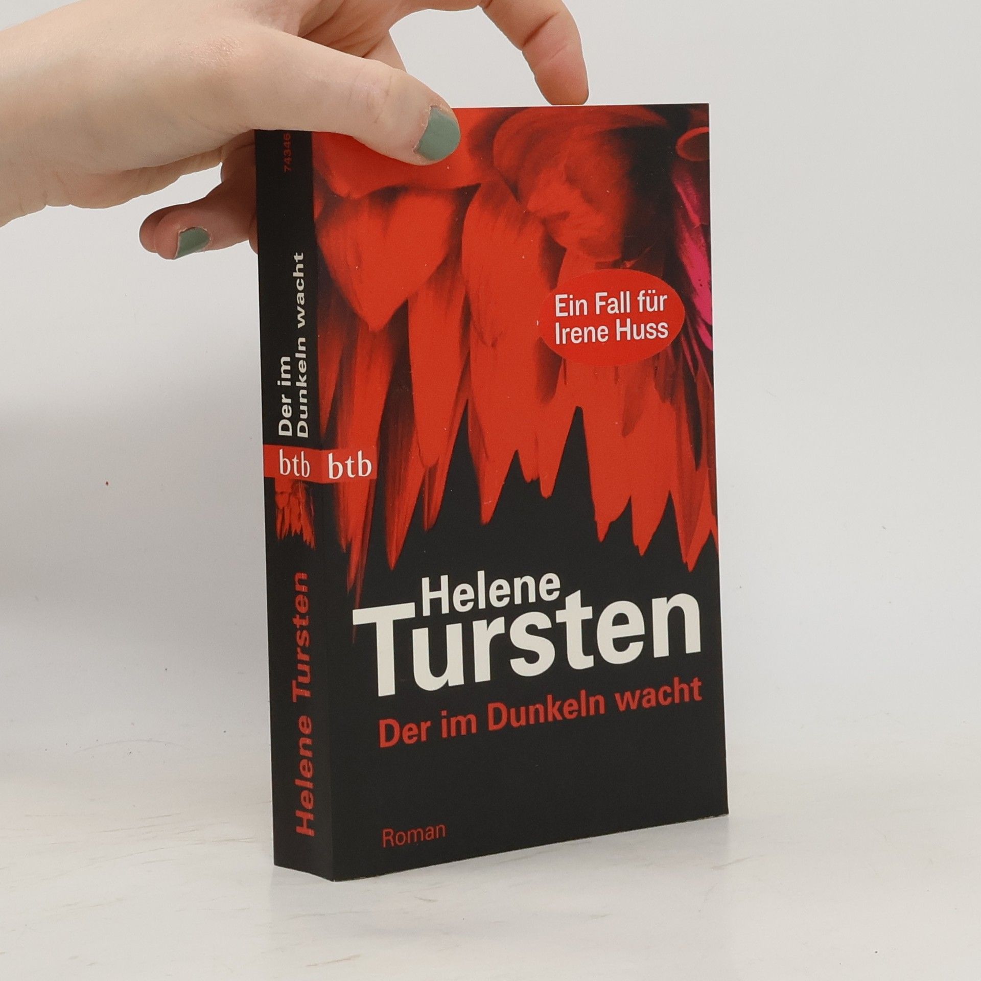 Helene Tursten Der im Dunkeln wacht
