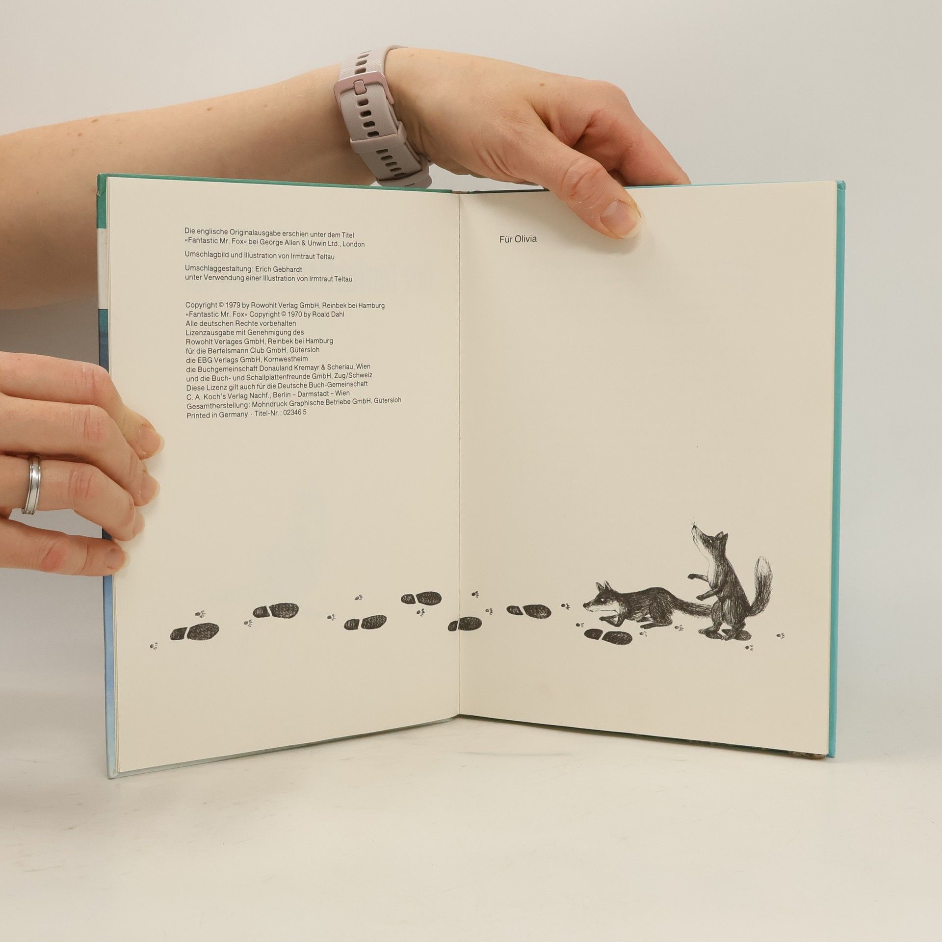 Roald Dahl Der Fantastiche Mr. Fox