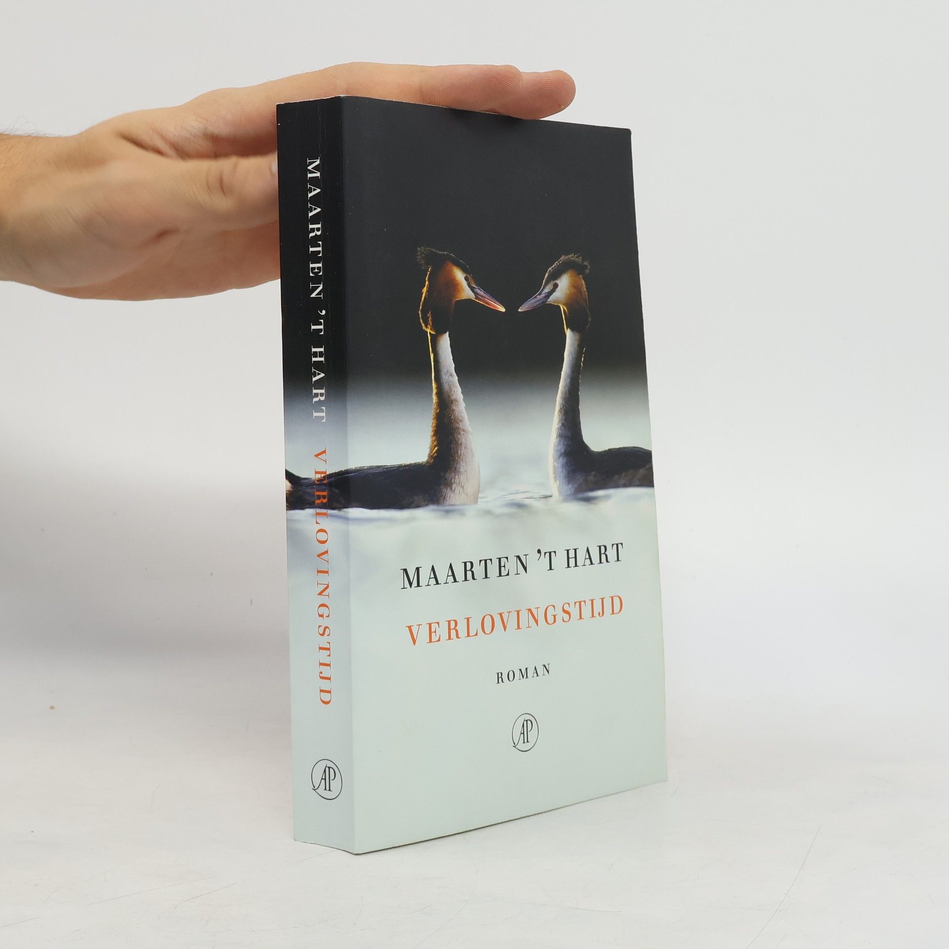 Maarten t. Hart Verlovingstijd : roman