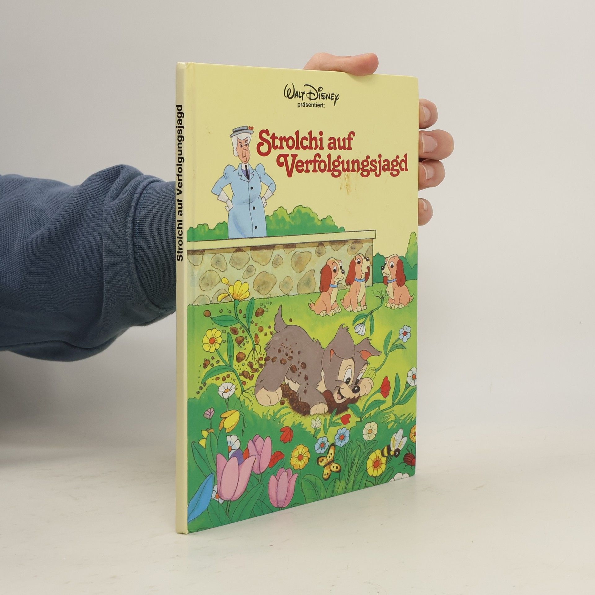 Collectif d'auteurs Strolchi auf Verfolgungsjagd