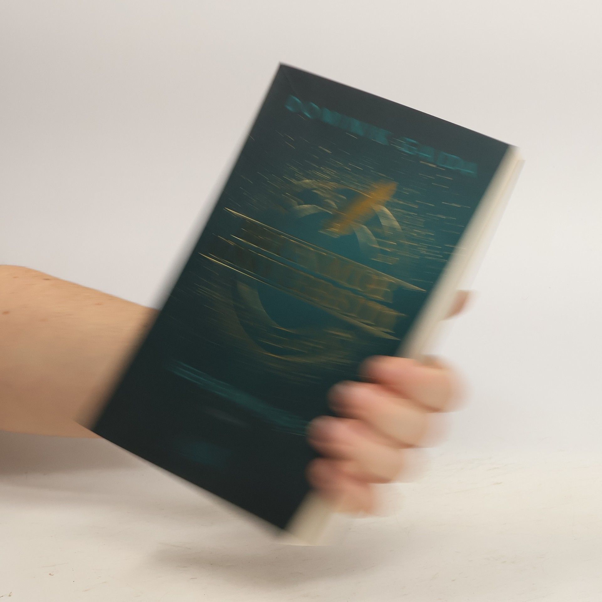 Dominik Gaida Brynmor University 1. Geheimnisse