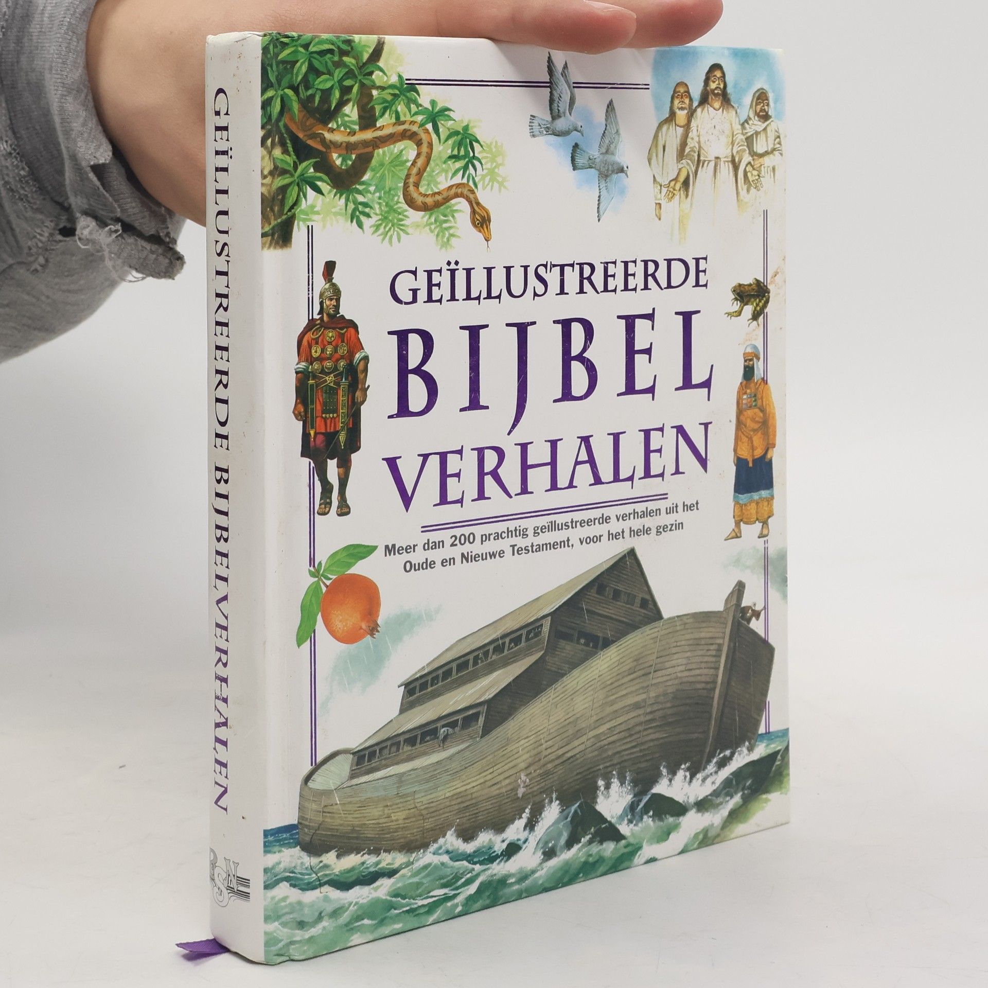 Nelleke van der Zwan Geïllustreerde Bijbel verhalen