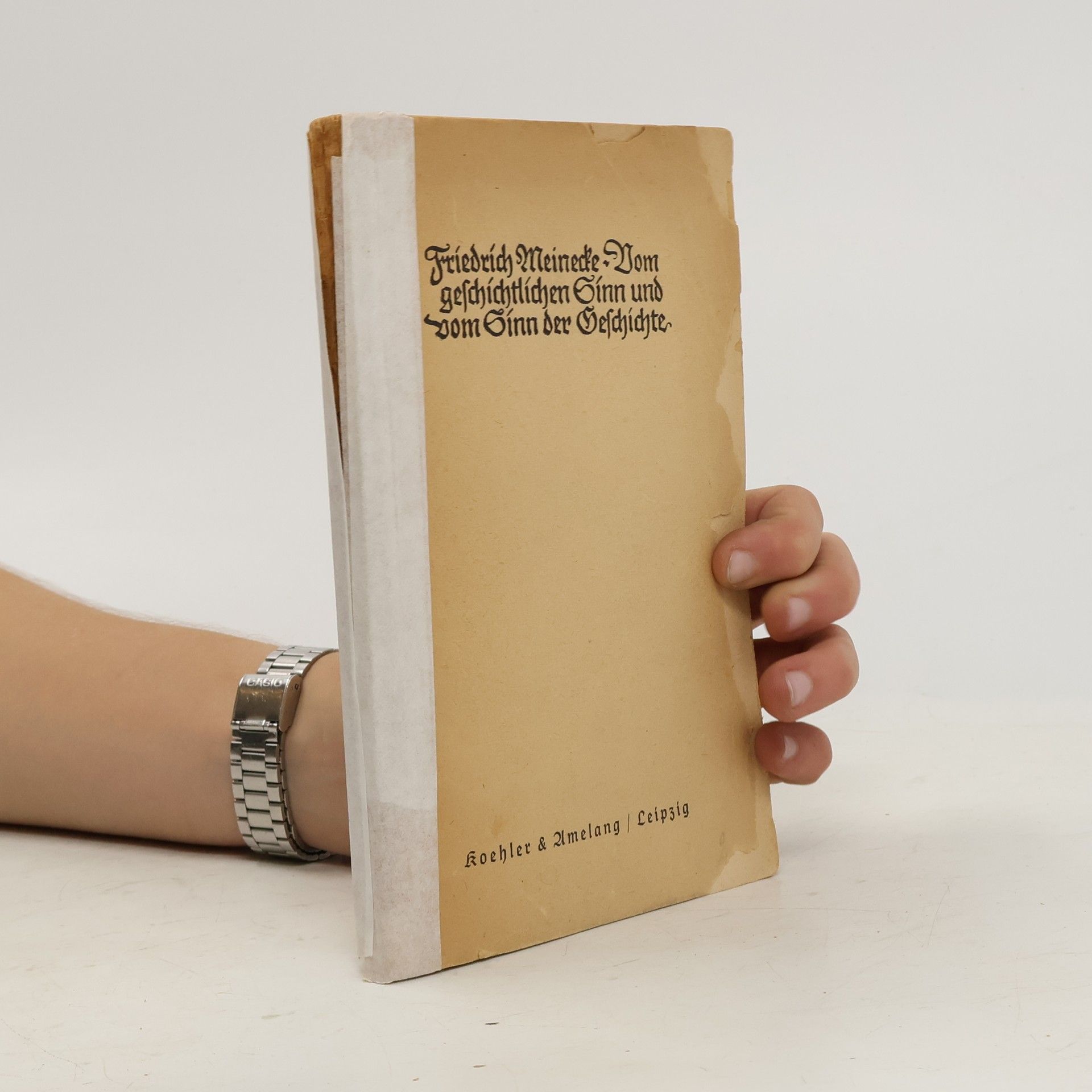 Vom geschichtlichen Sinn und vom Sinn der Geschichte