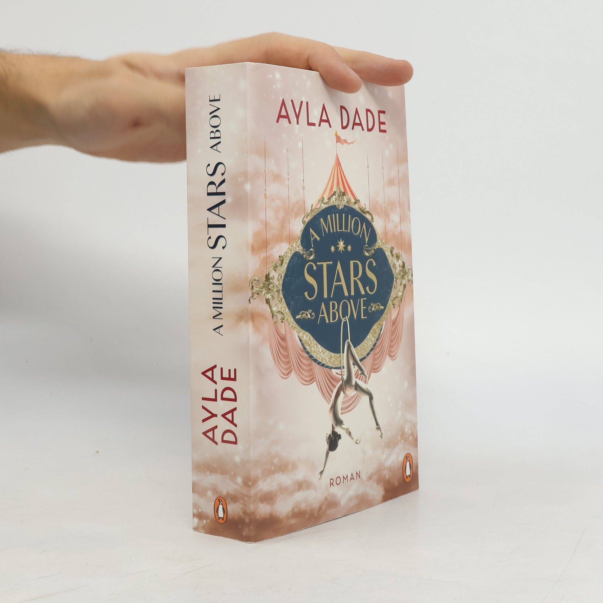 Ayla Dade A Million Stars Above / Sky Circus Bd.1
