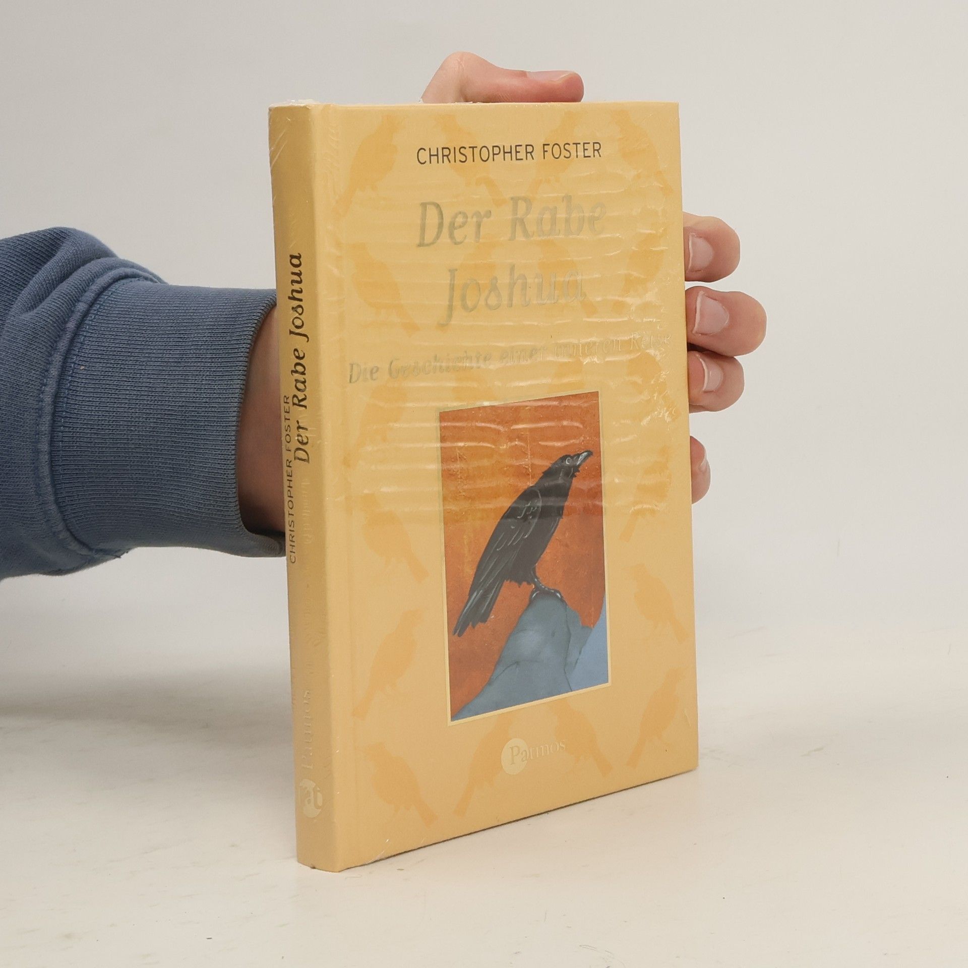 Christopher Foster Der Rabe Joshua