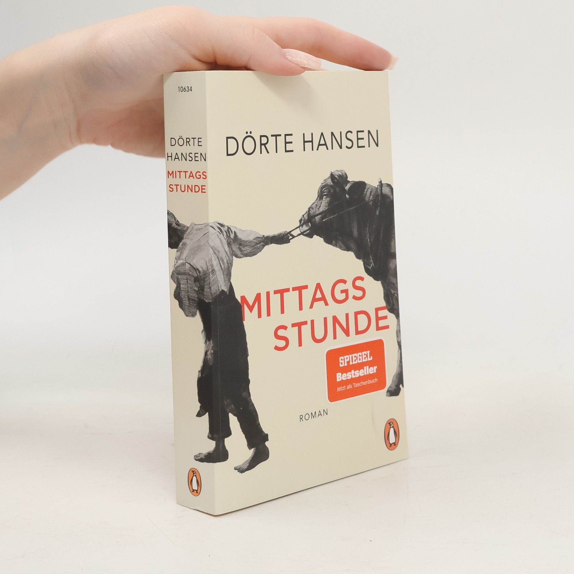 Dörte Hansen Mittagsstunde
