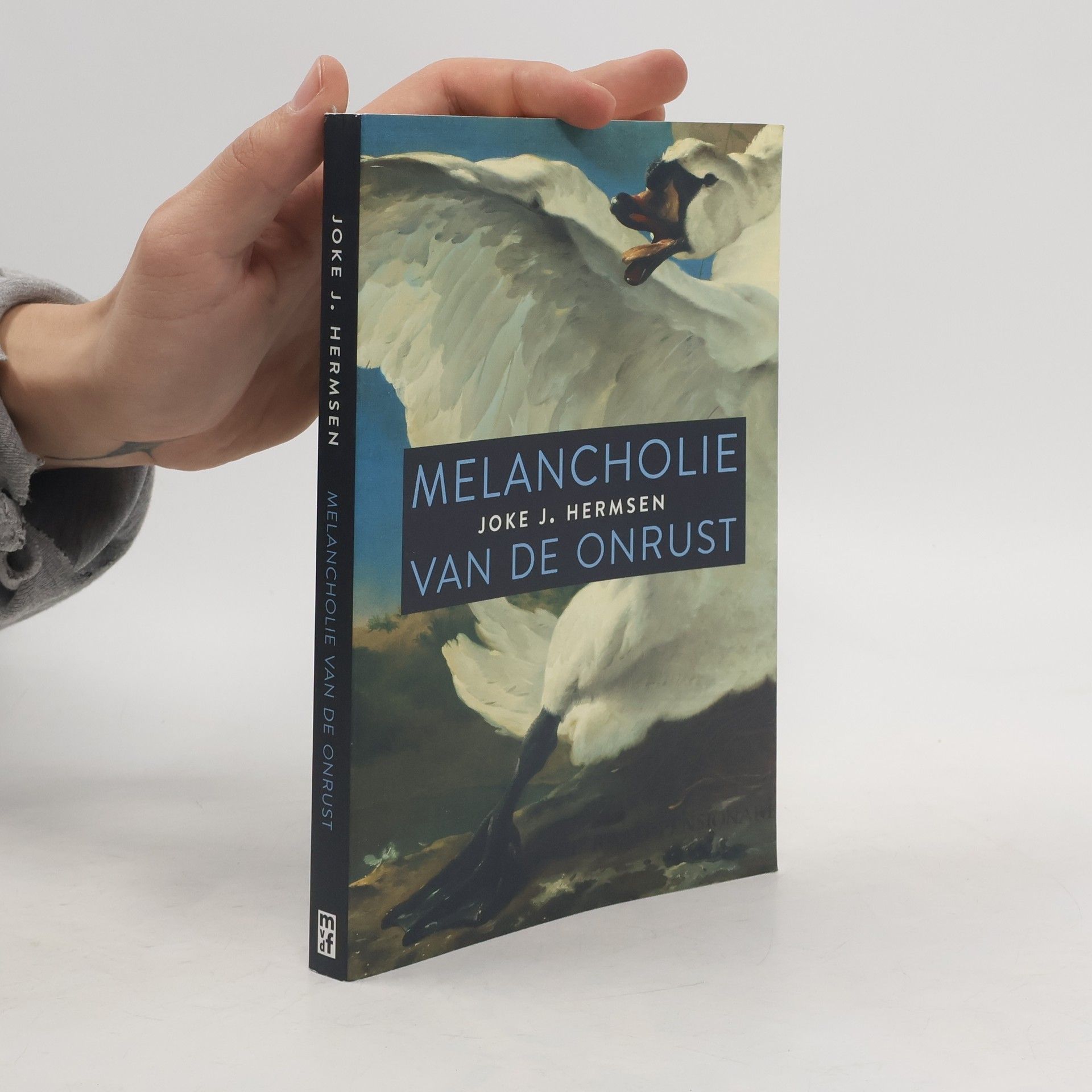 Joke Johannetta Hermsen Melancholie van de onrust