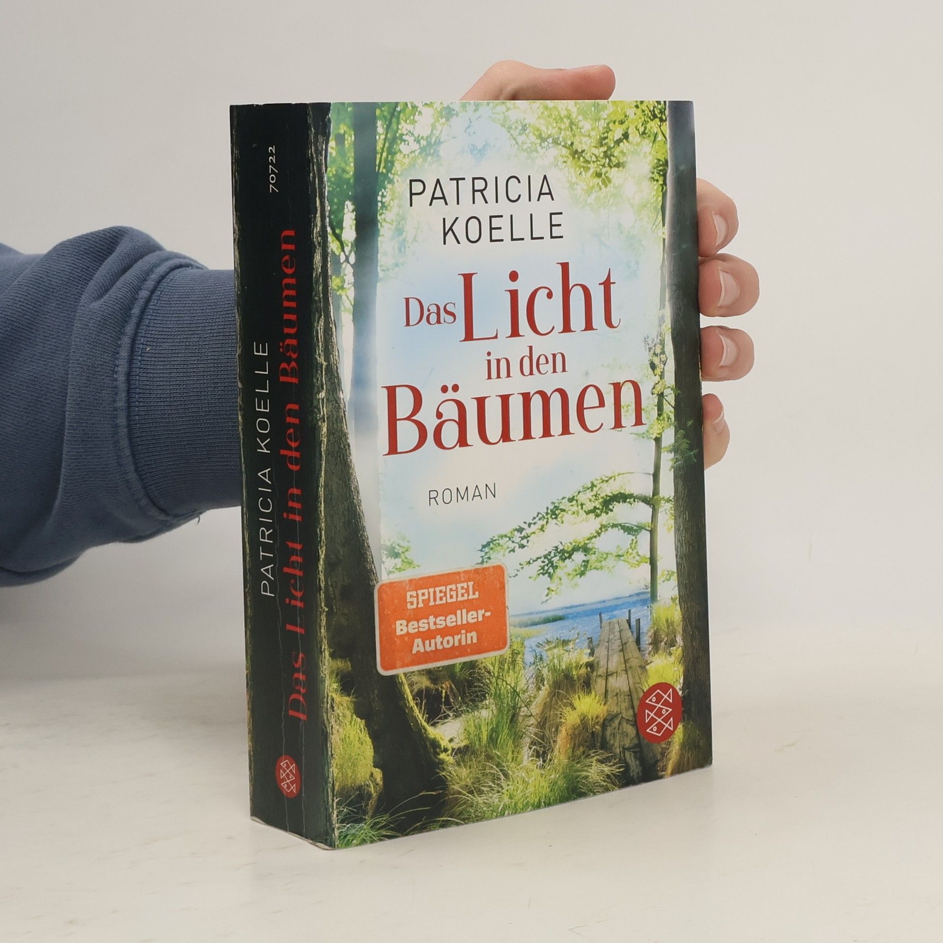 Patricia Koelle Das Licht in den Bäumen