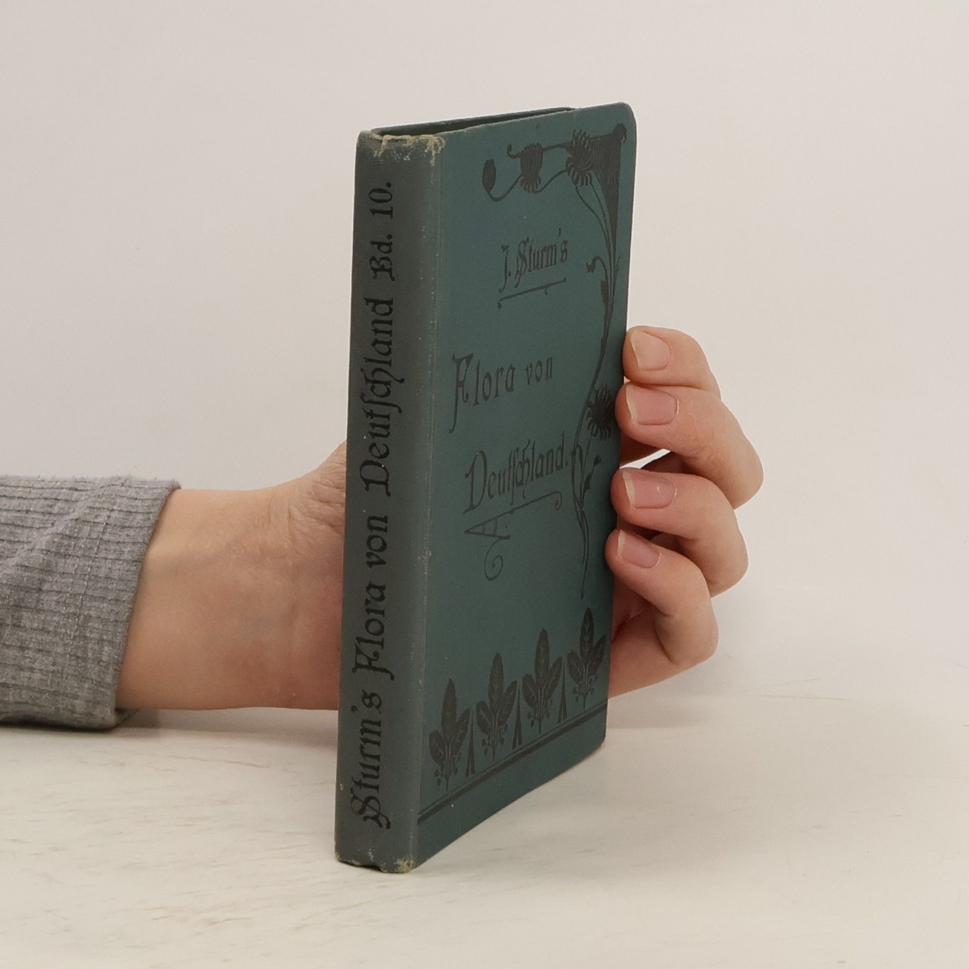 J. Sturm´s Flora von Deutschland. Band 10